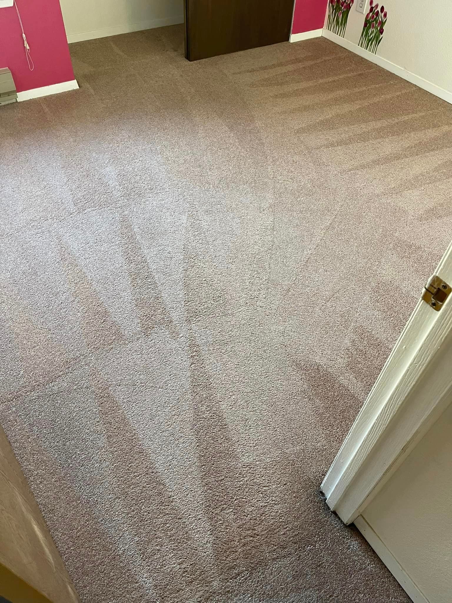 Carpet cleaning services