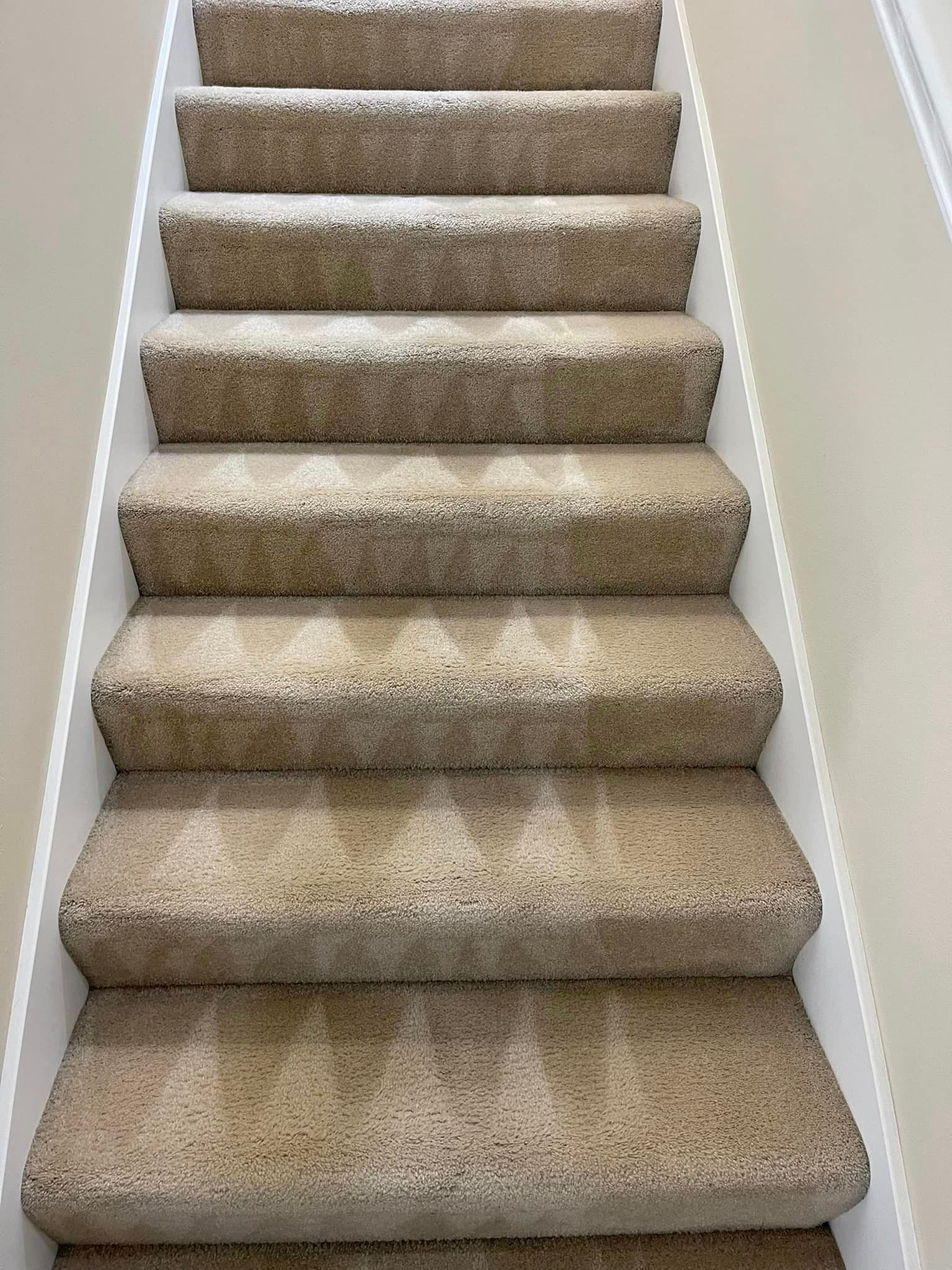 Carpet cleaning services