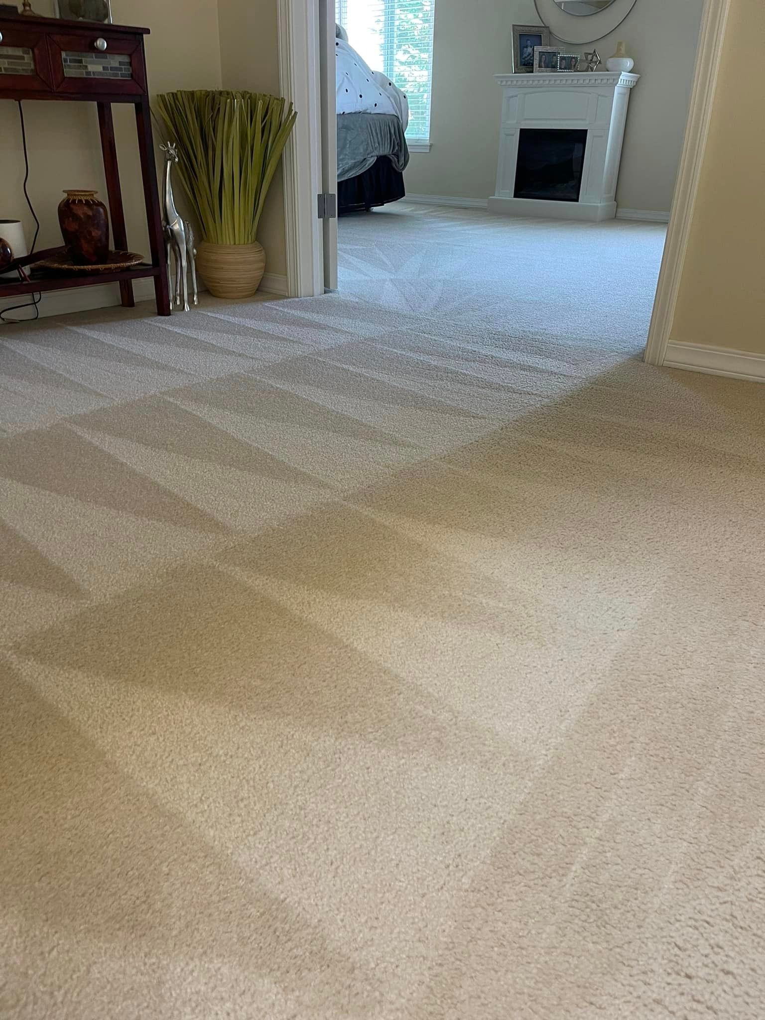 Carpet cleaning services