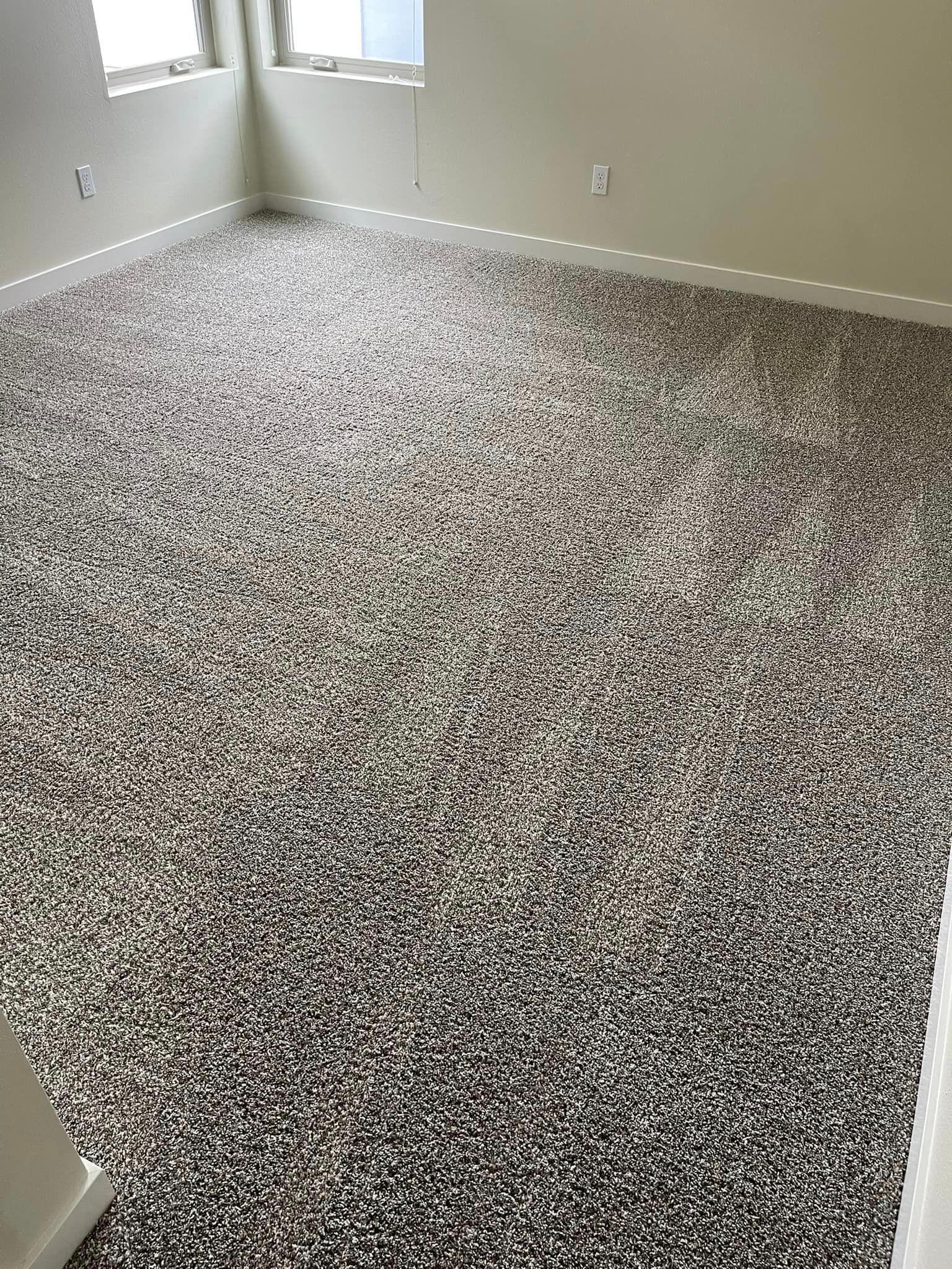 Carpet cleaning services