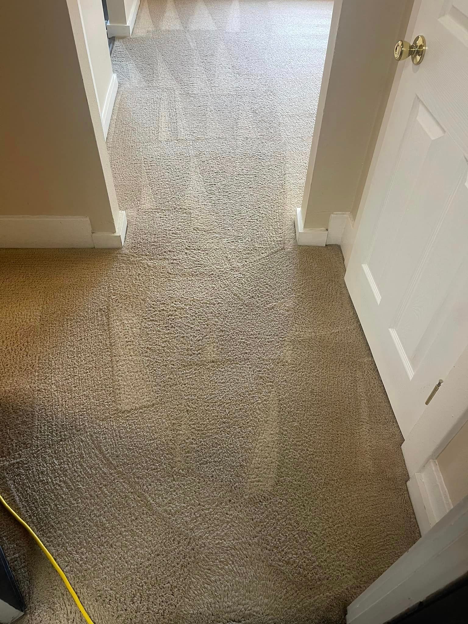 Carpet cleaning services