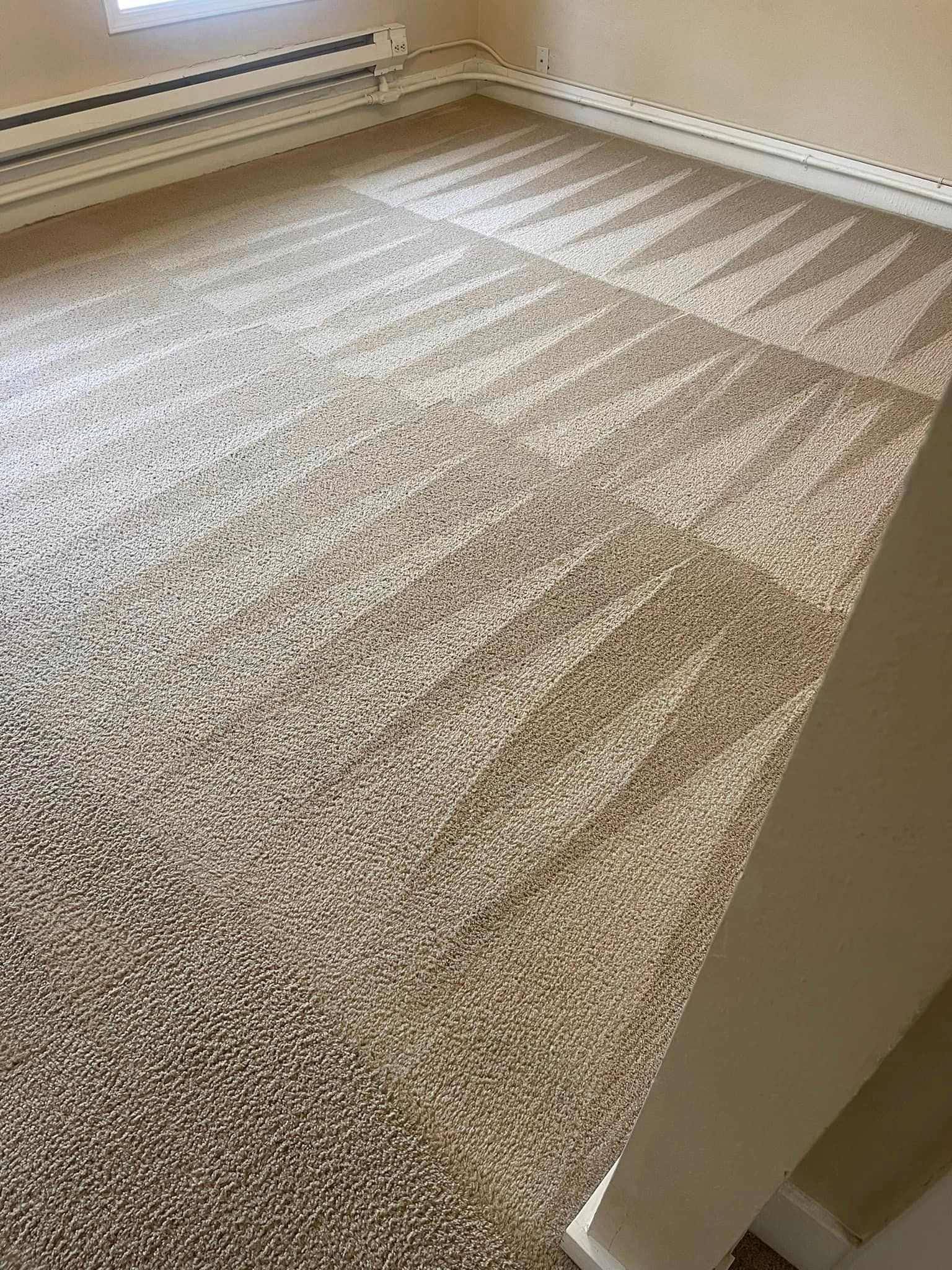 Carpet cleaning services