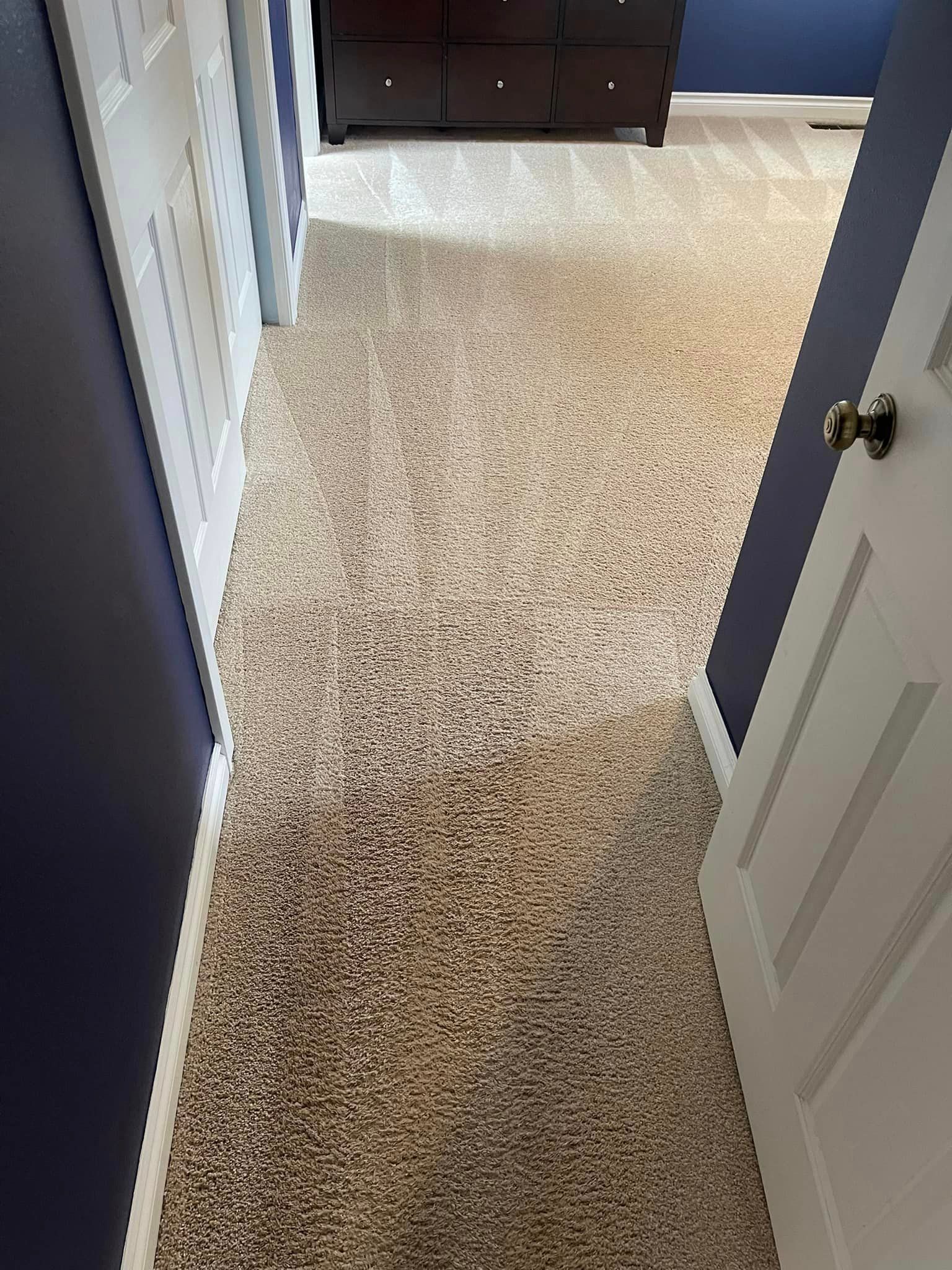 Carpet cleaning services