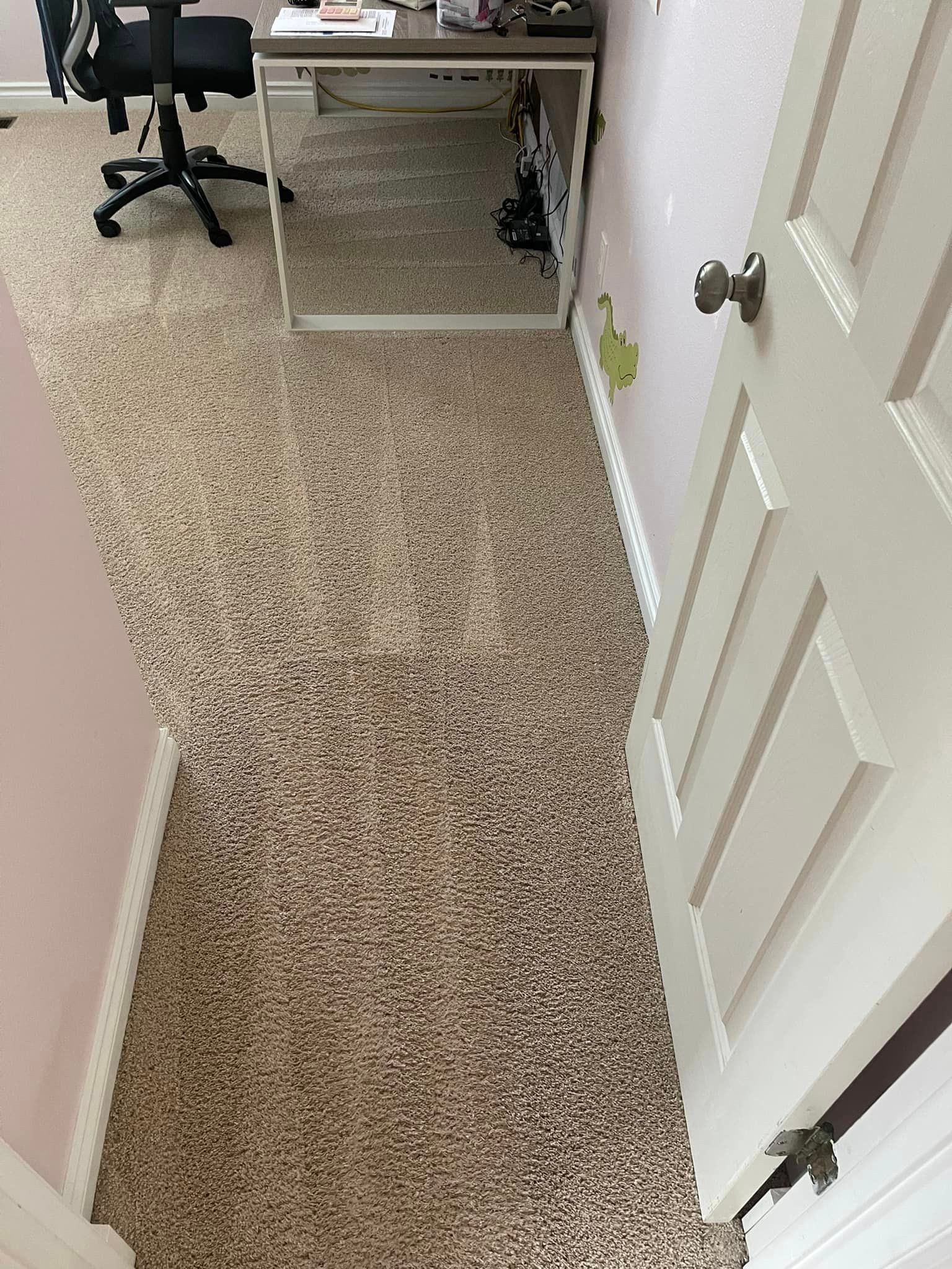 Carpet cleaning services