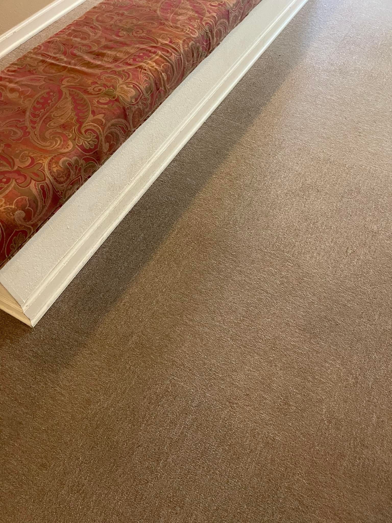 Carpet cleaning services