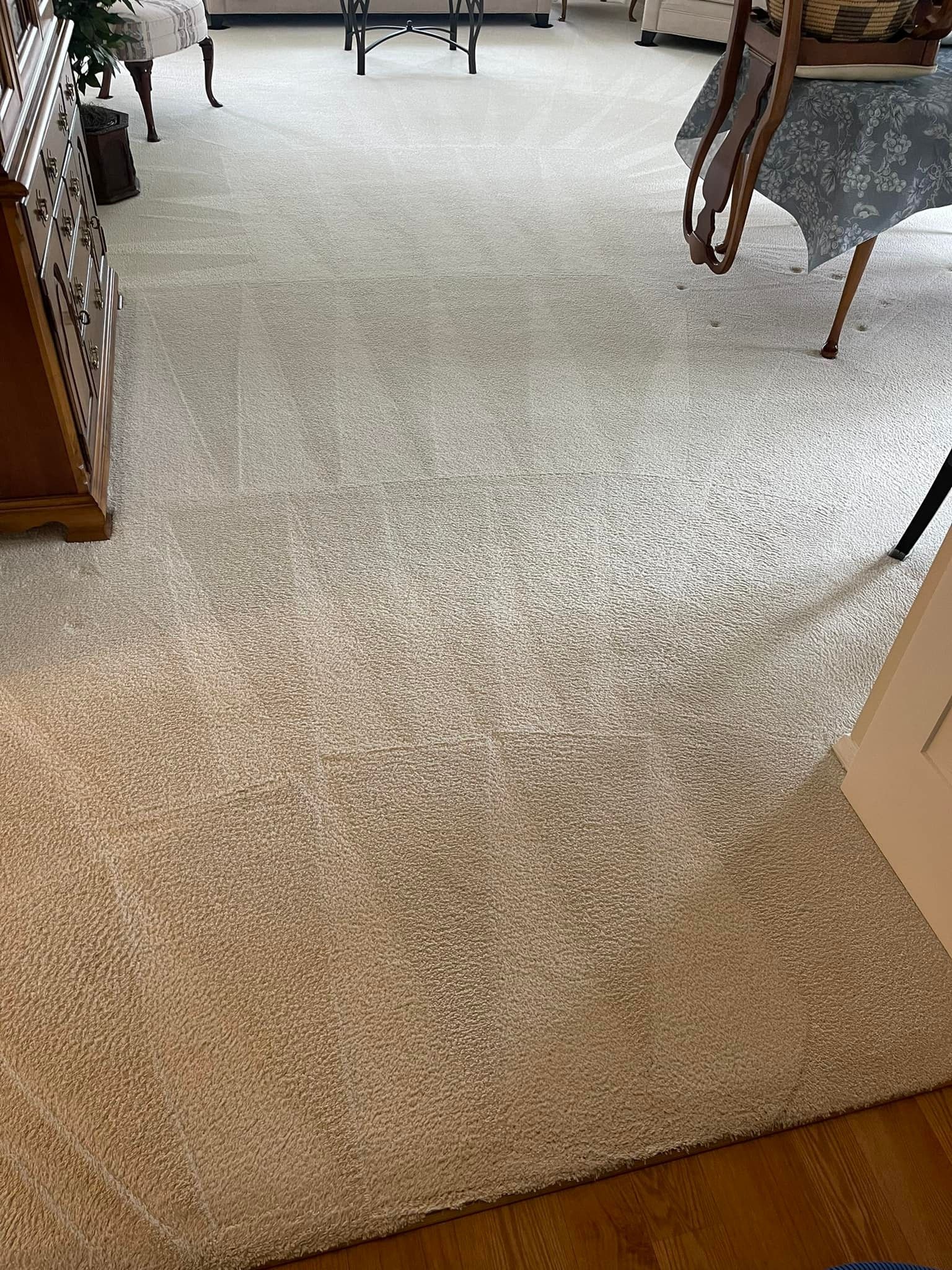 Carpet cleaning services