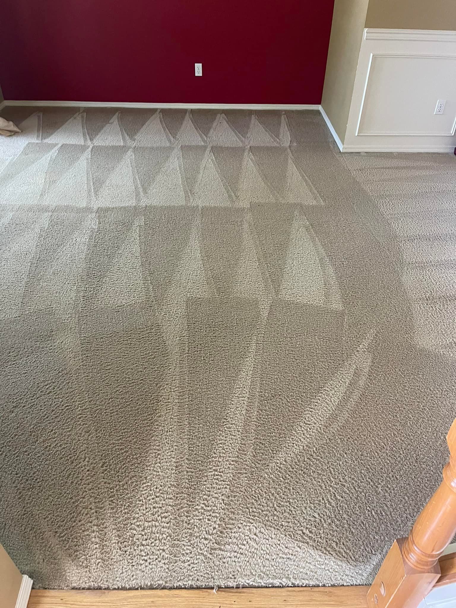 Carpet cleaning services