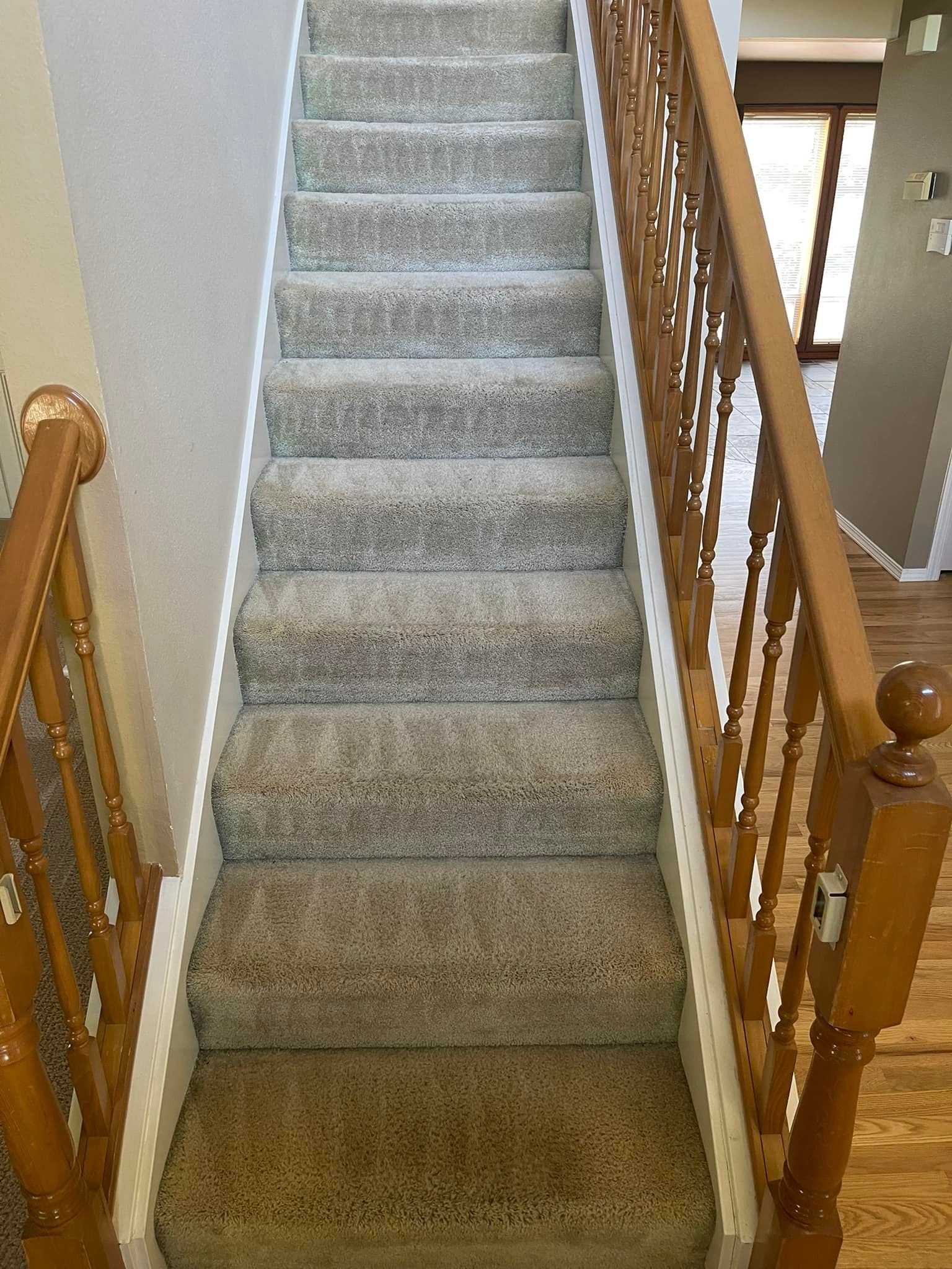 Carpet cleaning services