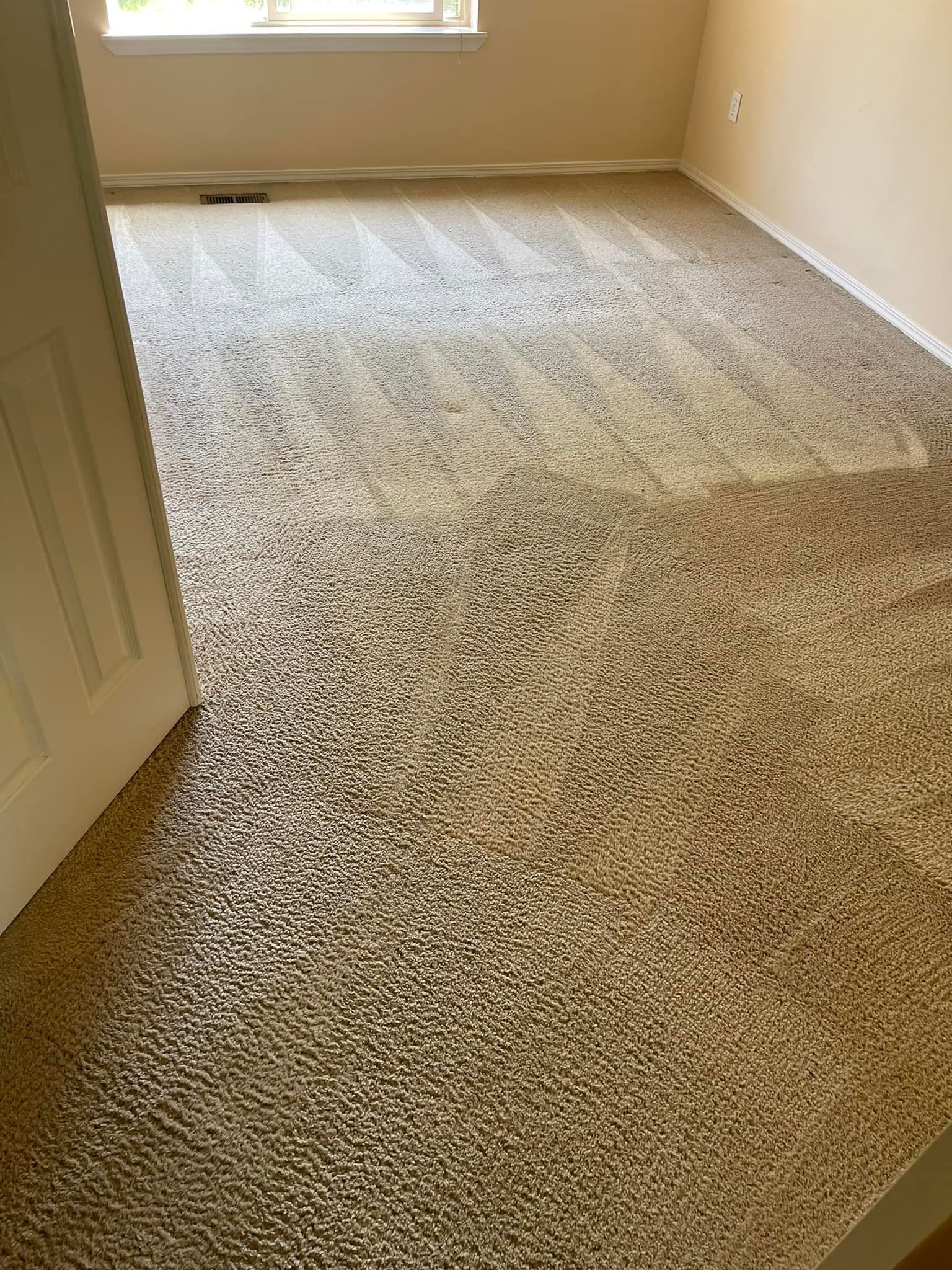 Carpet cleaning services