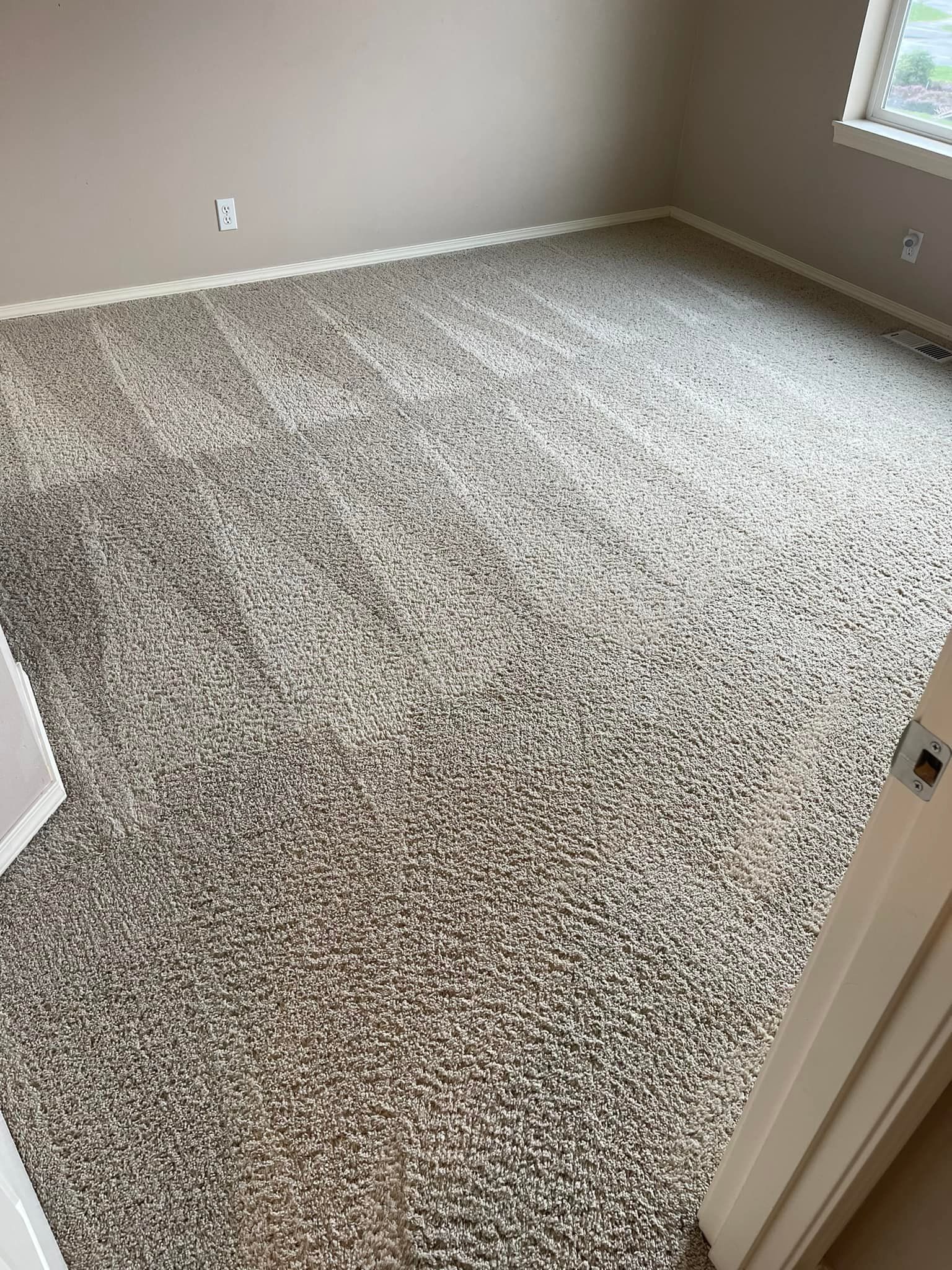 Carpet cleaning services