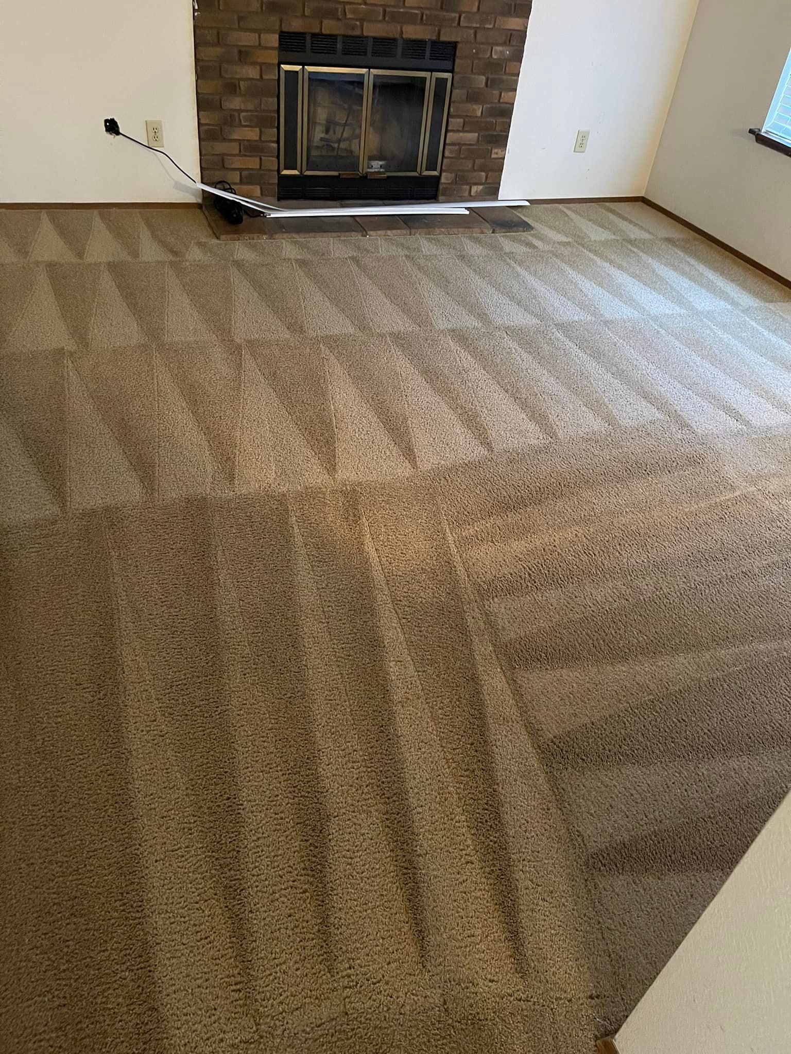 Carpet cleaning services