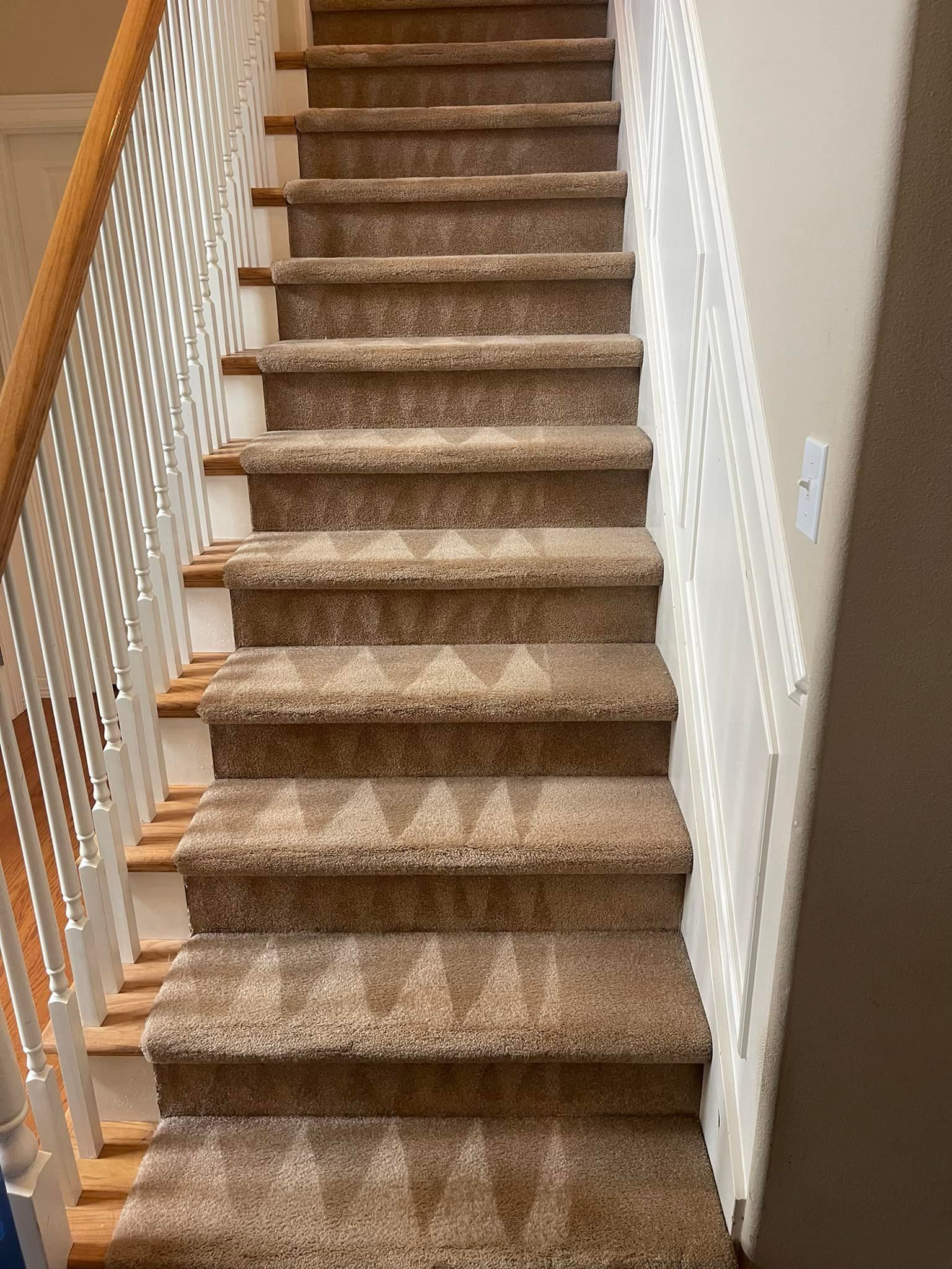 Carpet cleaning services
