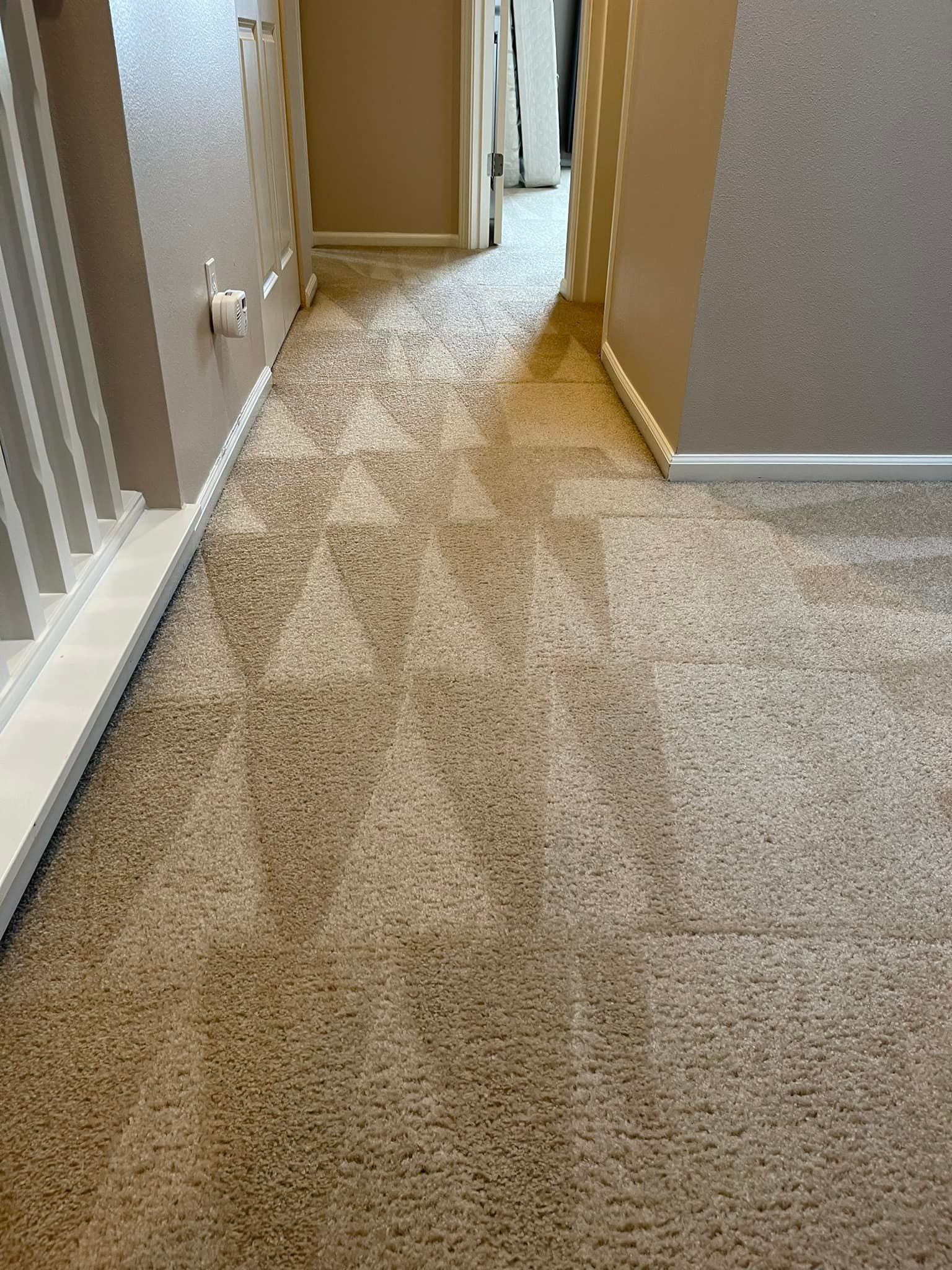 Carpet cleaning services