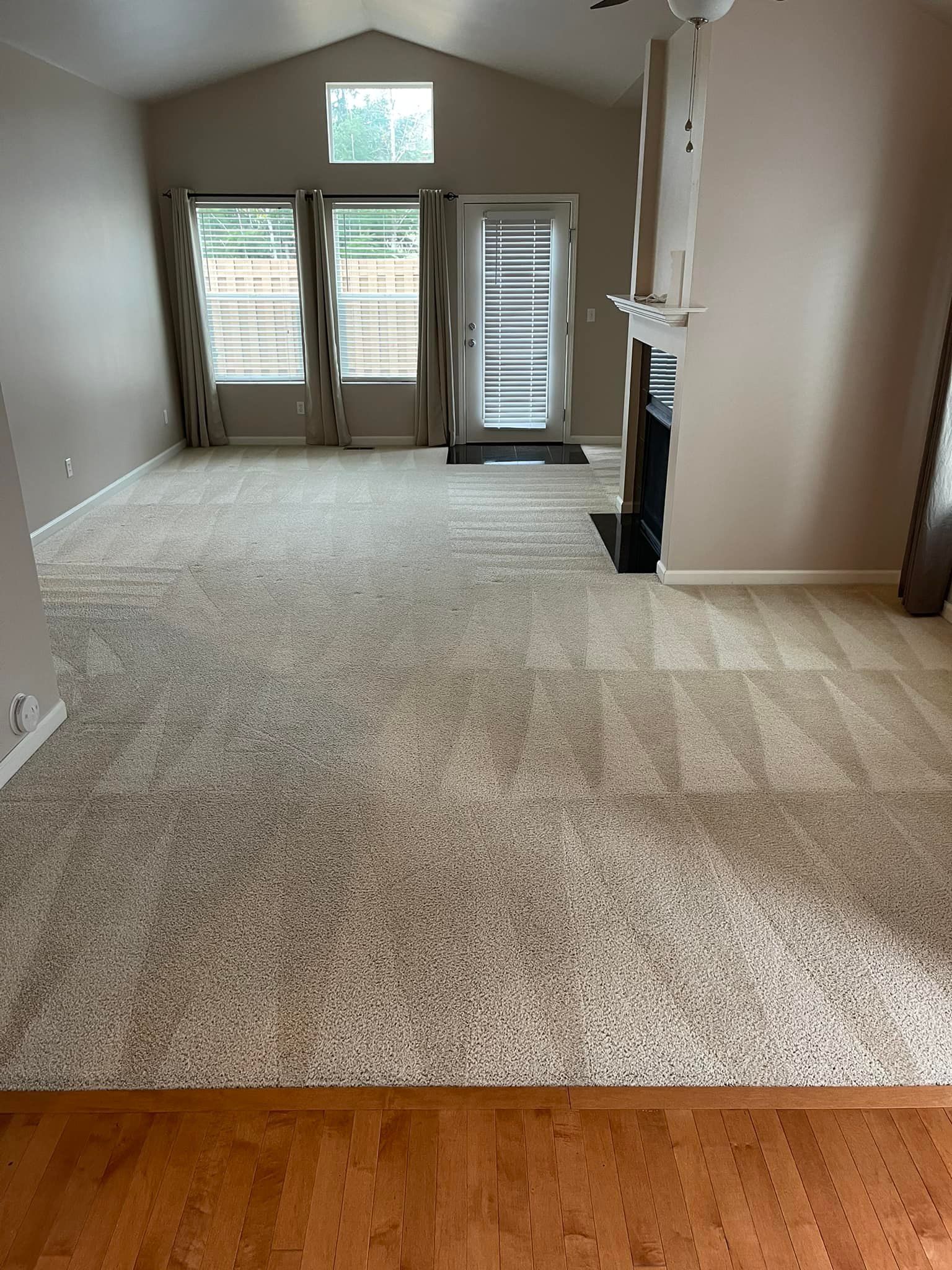 Carpet cleaning services
