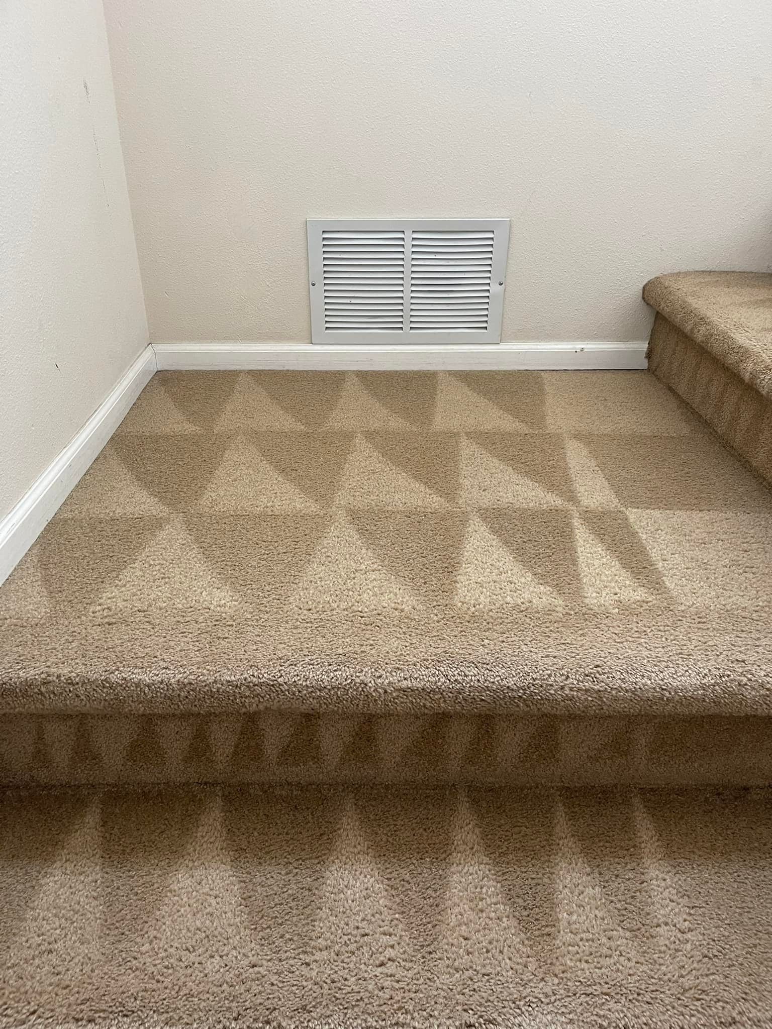 Carpet cleaning services