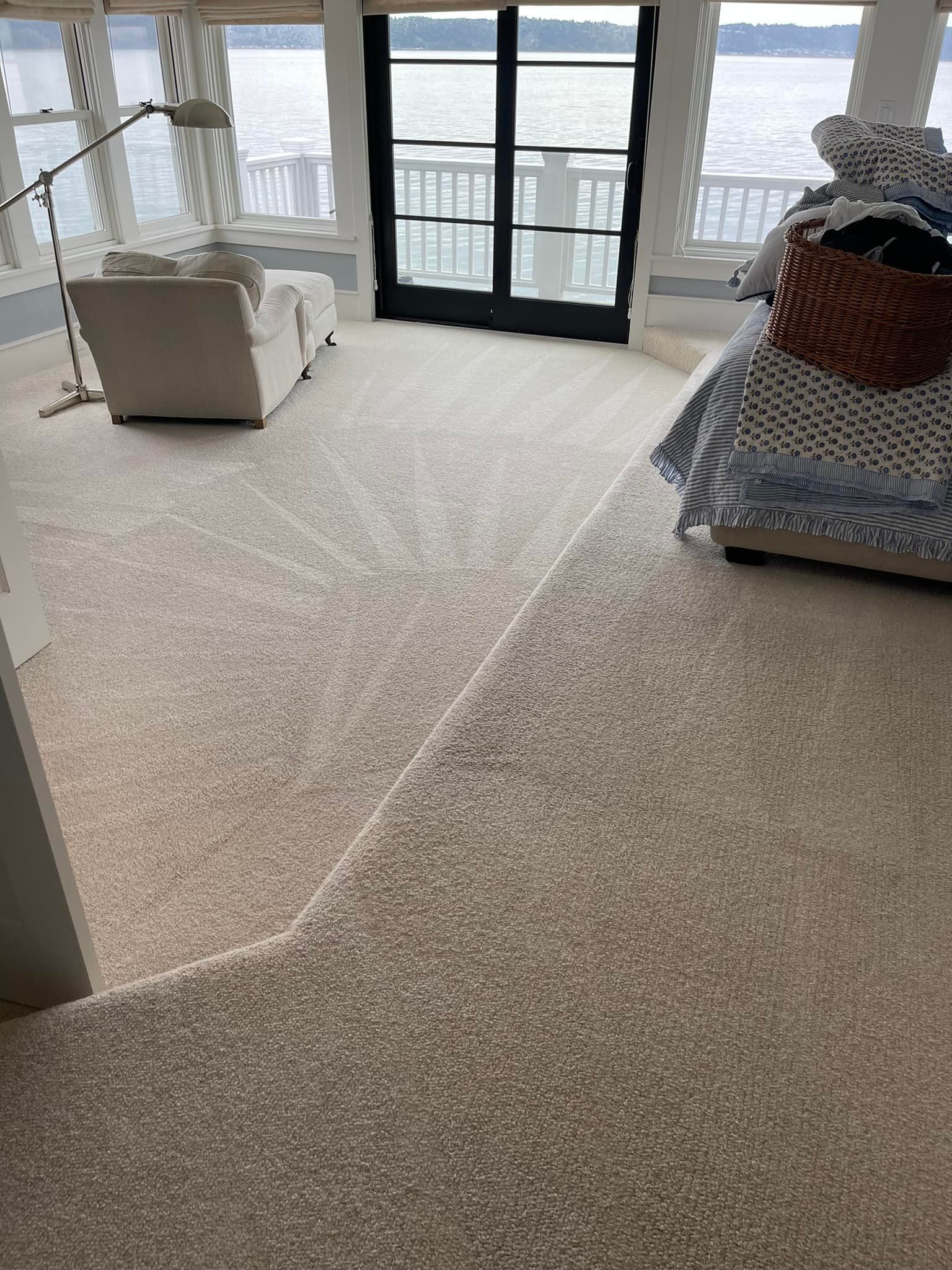 Carpet cleaning services