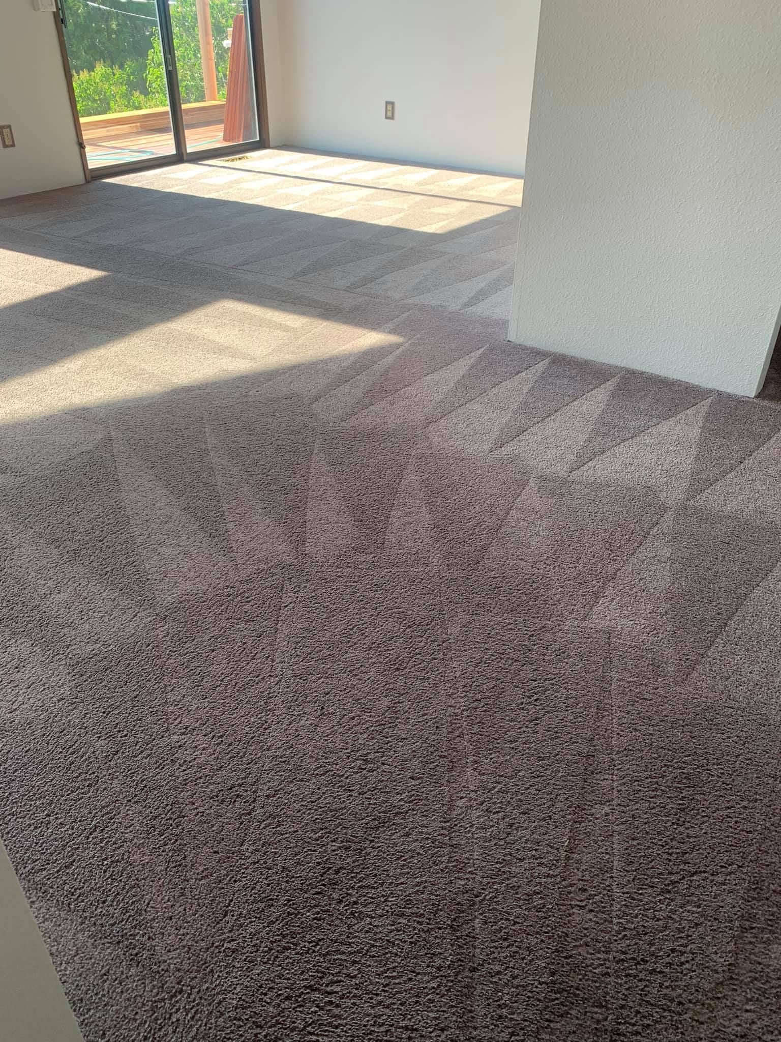 Carpet cleaning services