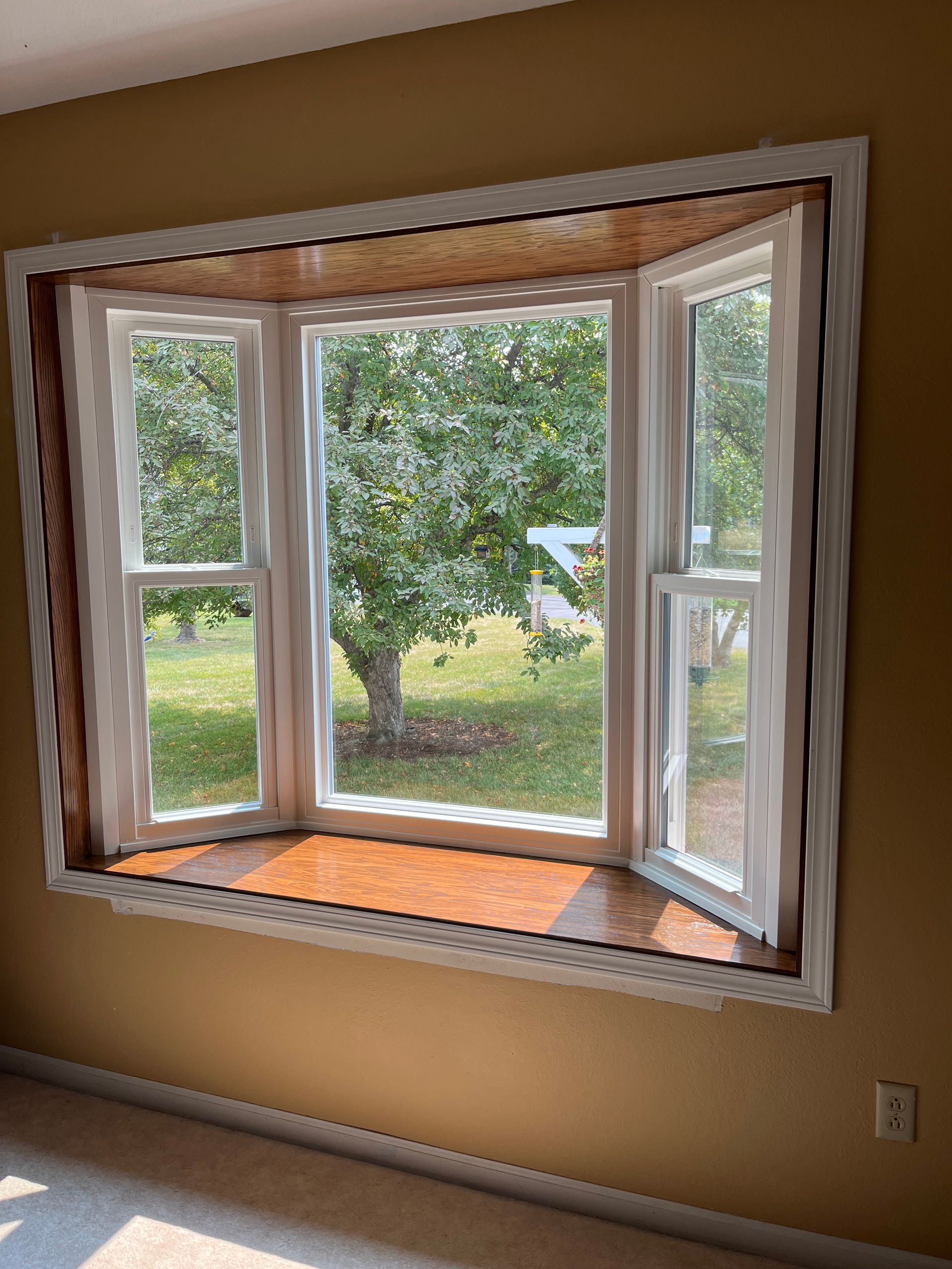 Bay window with open side panes and a view of a green backyard and tree outside