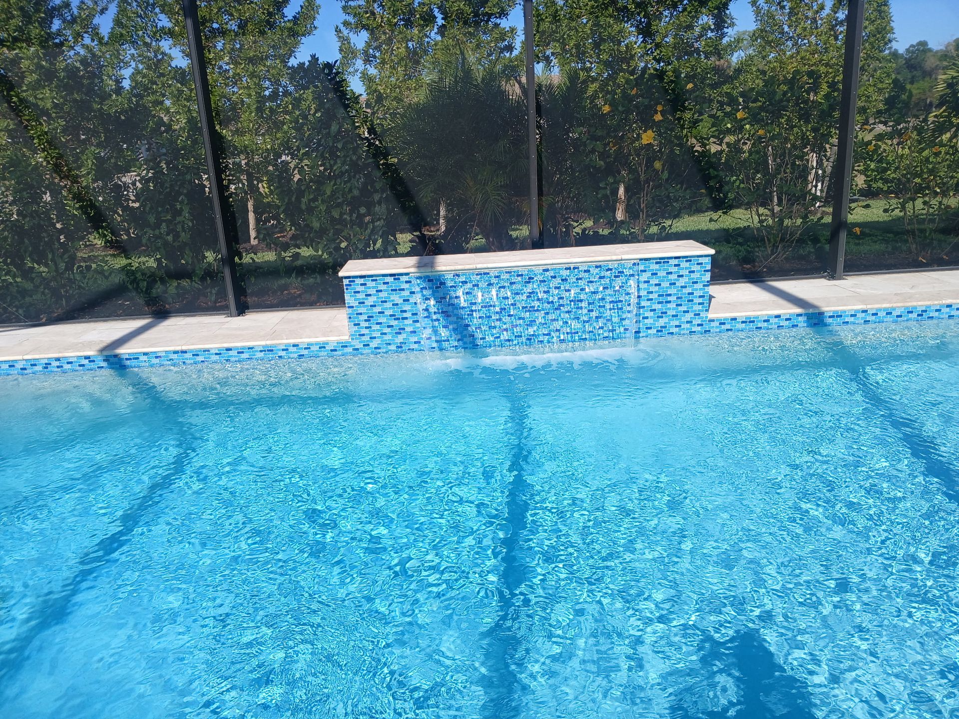 Blue swimming pool with a raised spa, white coping, and a black fence in the background