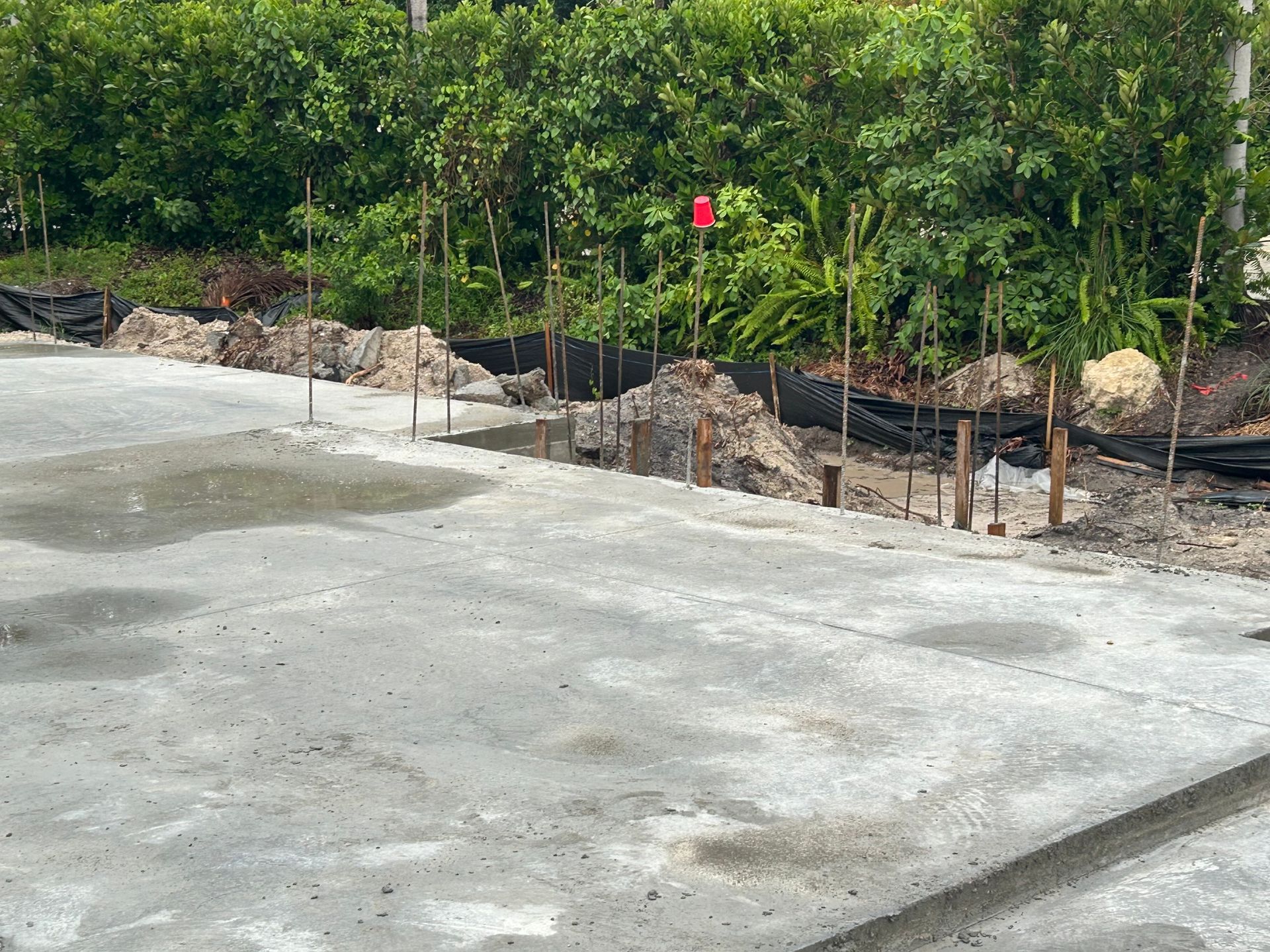 Concrete driveway beside a landscaped slope with young trees and a small red marker.