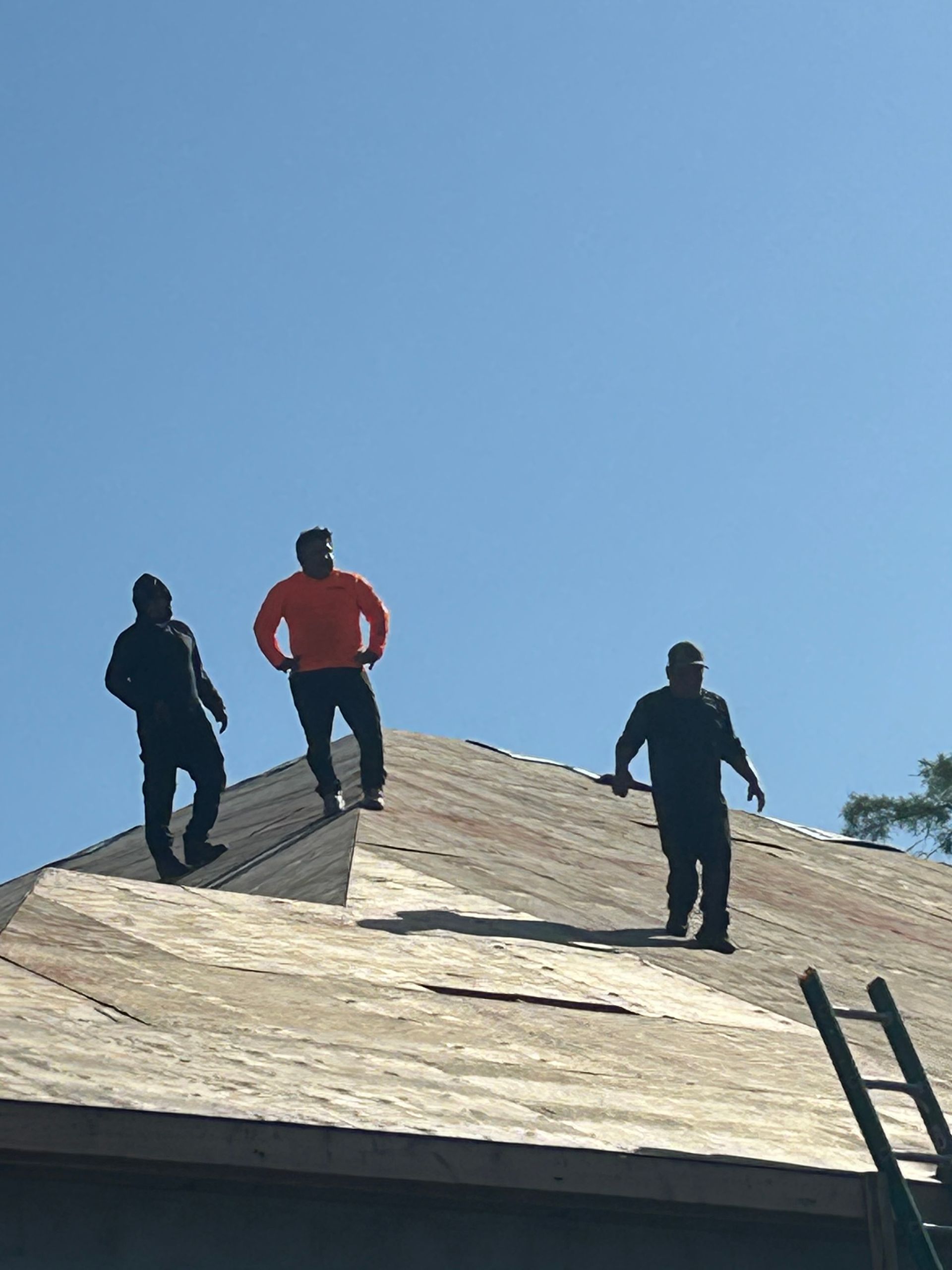 Three people stand on a steep roof under a clear blue sky, with a ladder at the right edge.