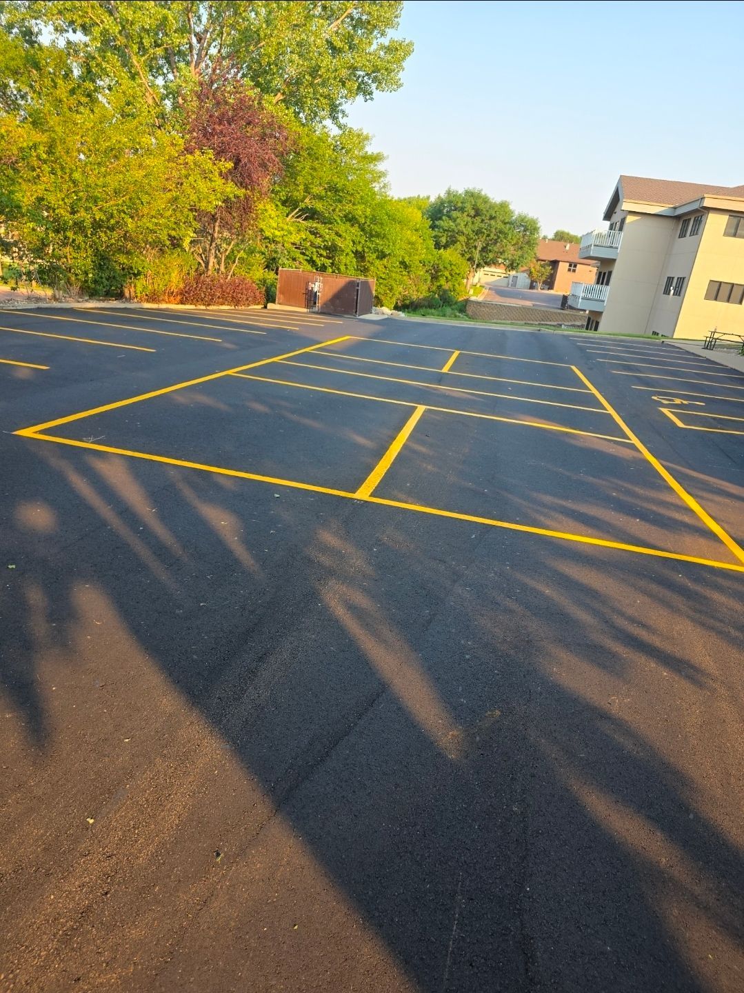 Empty asphalt parking lot with yellow lines beside trees and buildings in warm sunlight