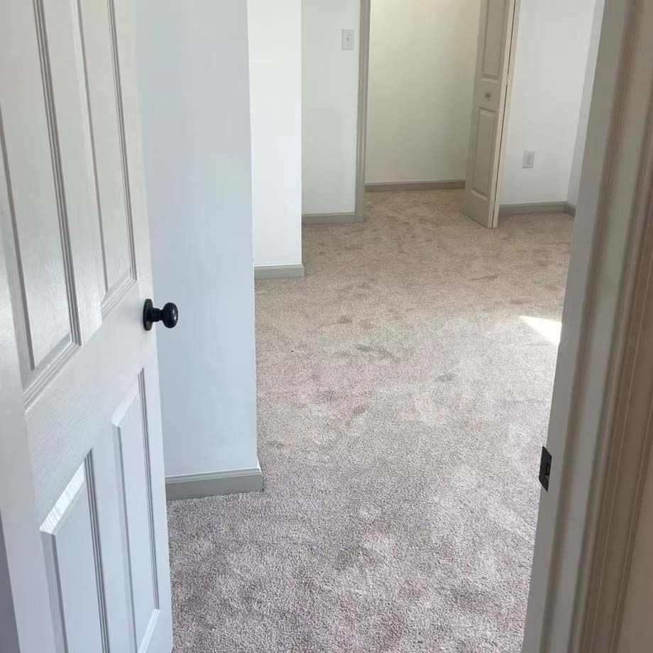 Carpeted hallway with white doors and walls, viewed through an open door.