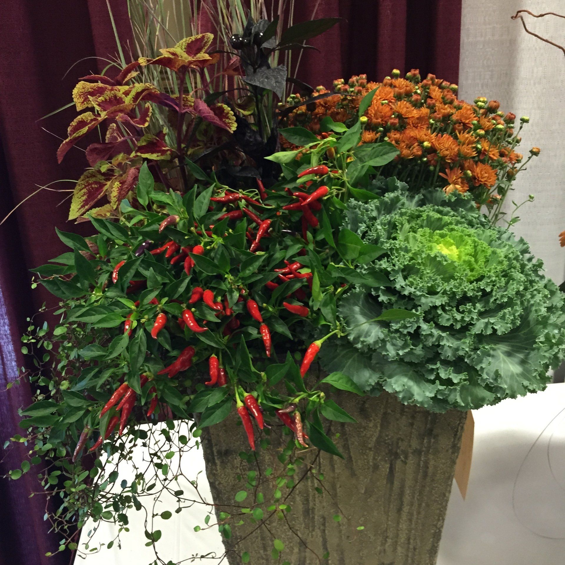 Flower arrangement