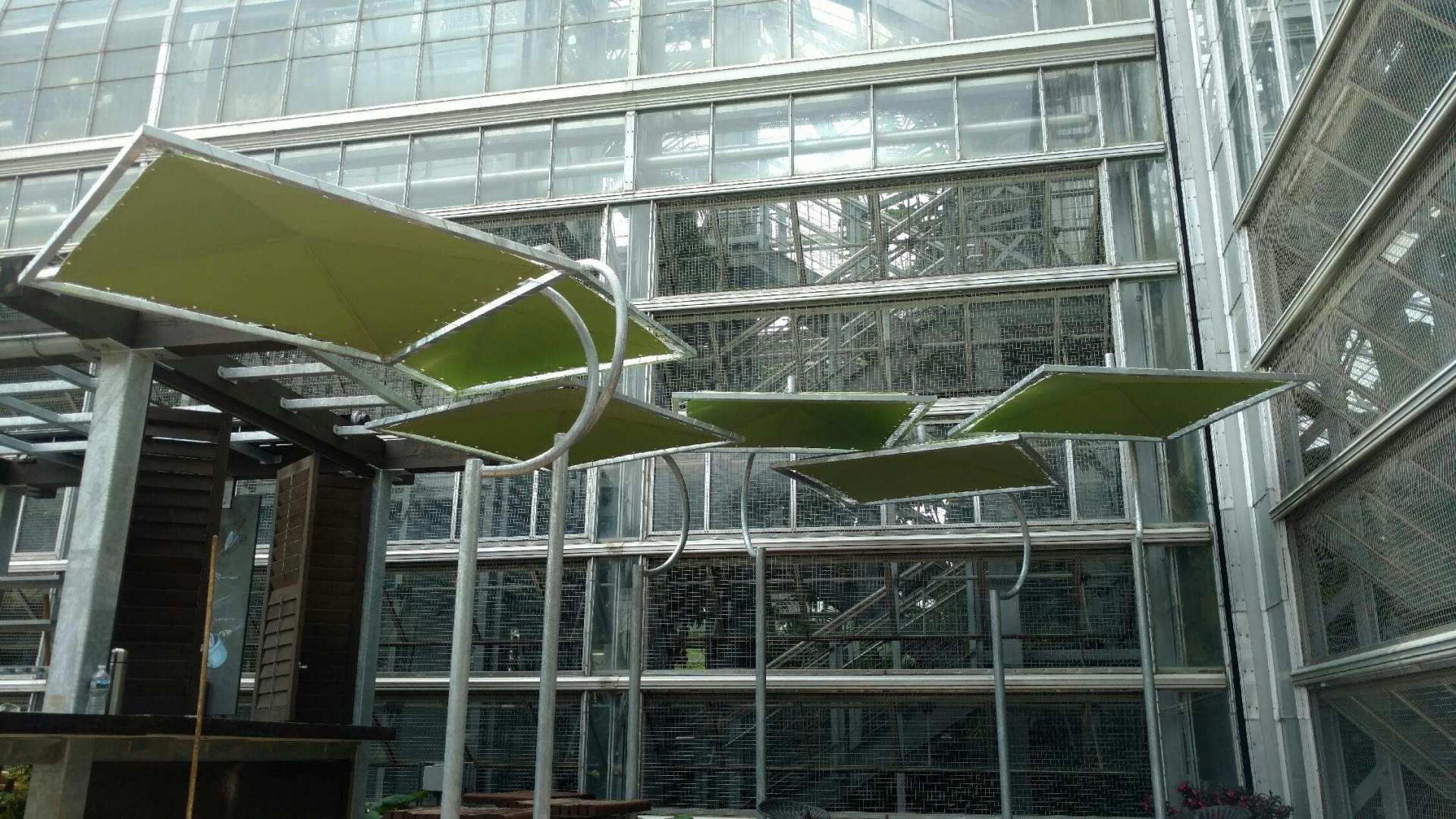 A green umbrella is hanging from the ceiling of a building.