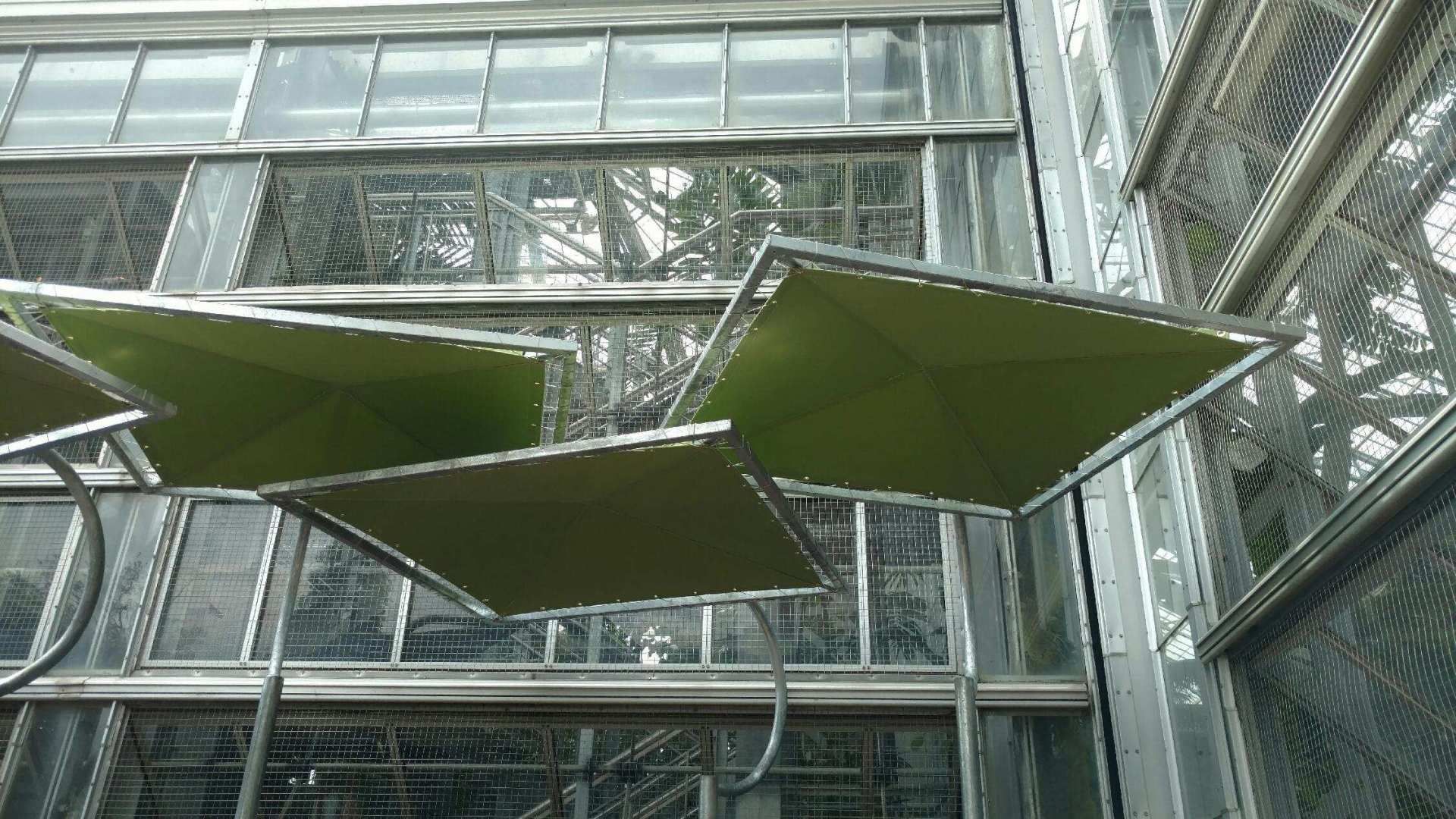 A building with a lot of windows and a green umbrella in front of it.