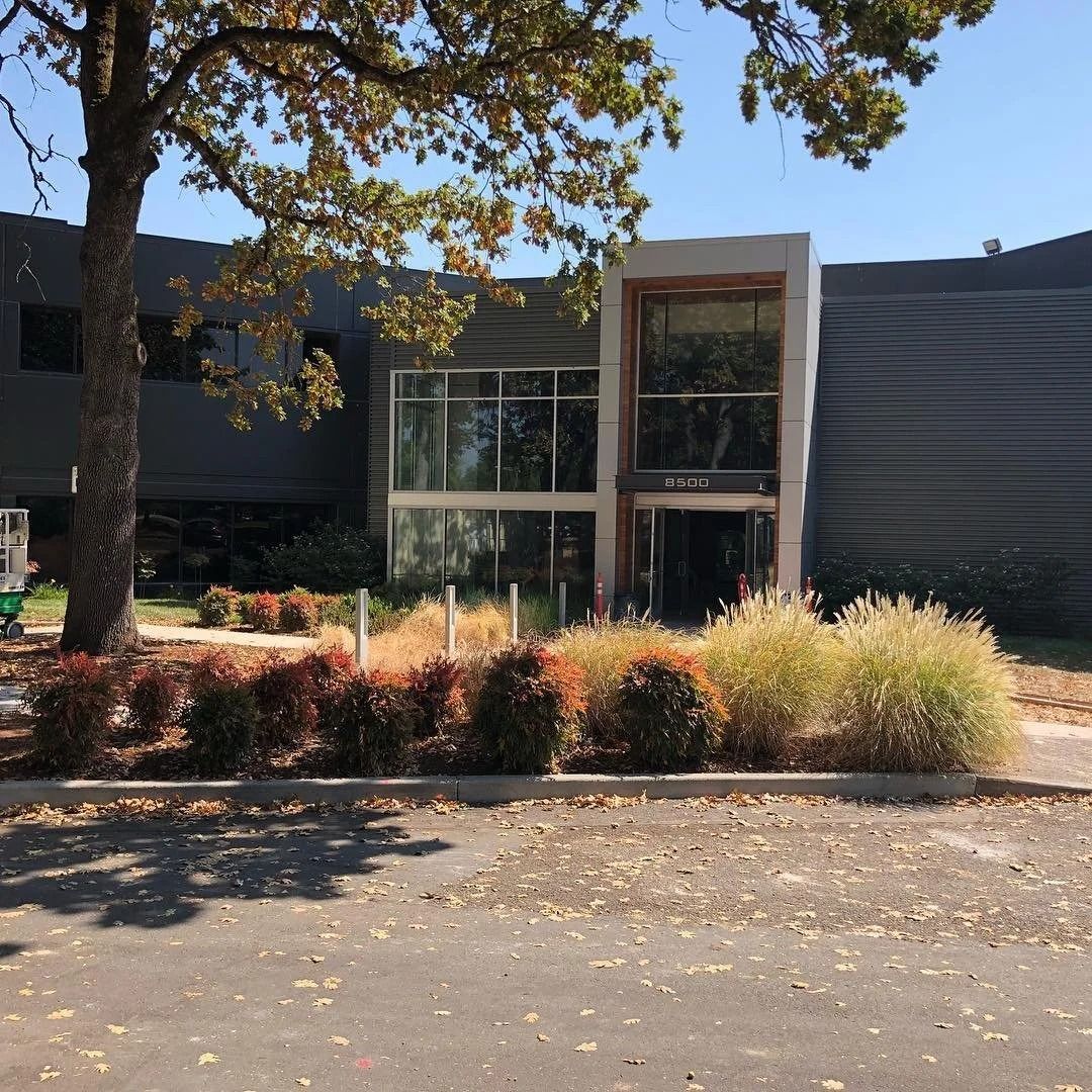 Modern building with dark siding, glass entrance, and landscaping.