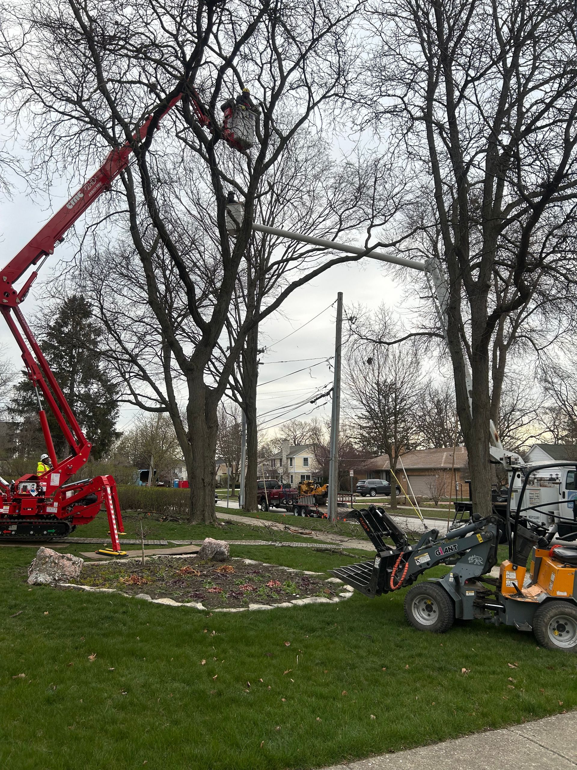 A crane is cutting a tree in a park next to a lawn mower