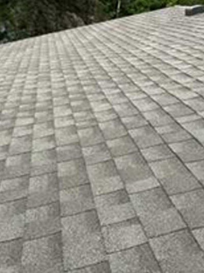 shingle roof
