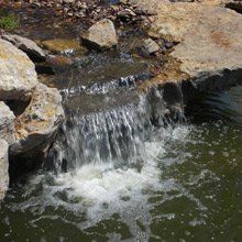 Water feature