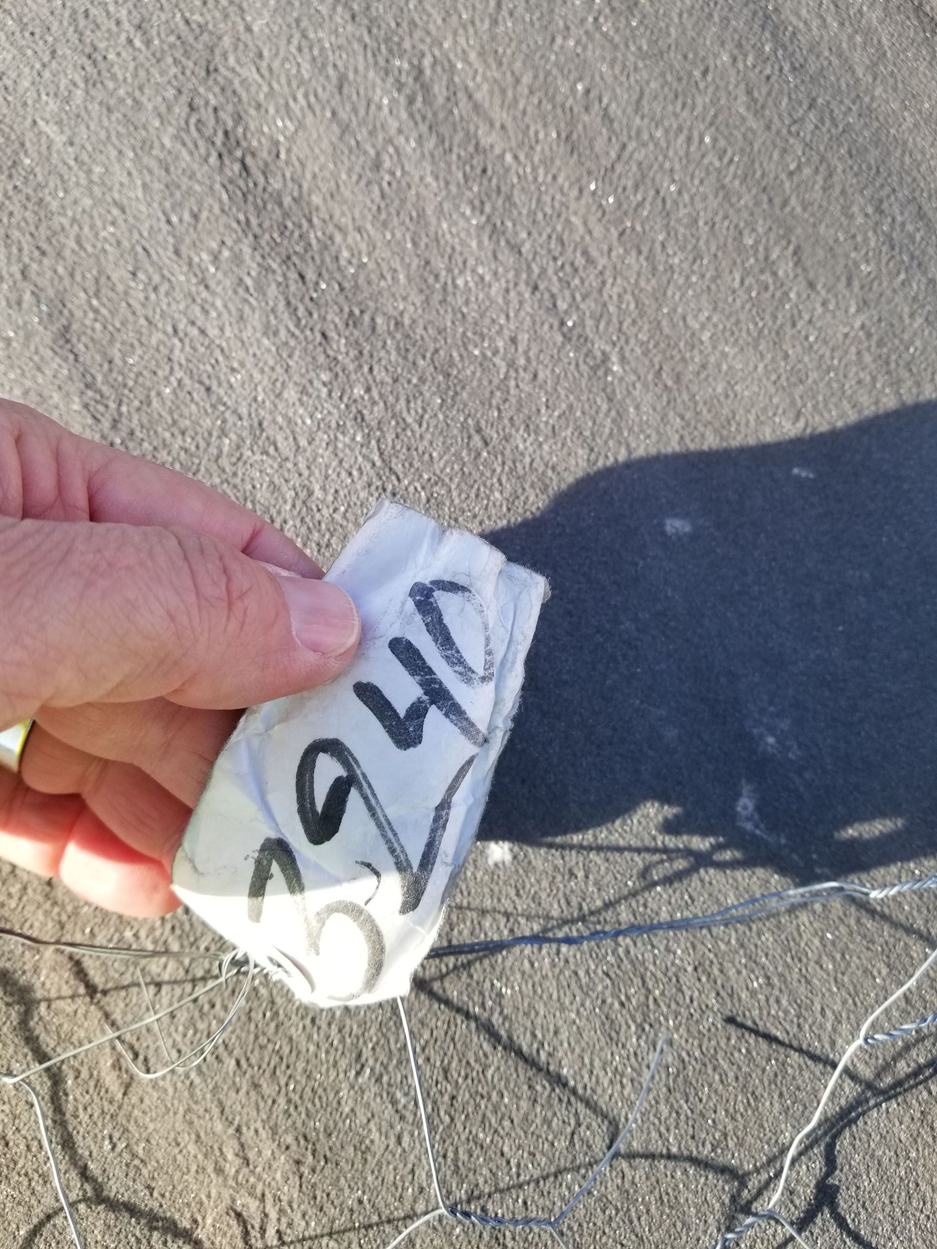 A person is holding a piece of paper with the number 2940 written on it