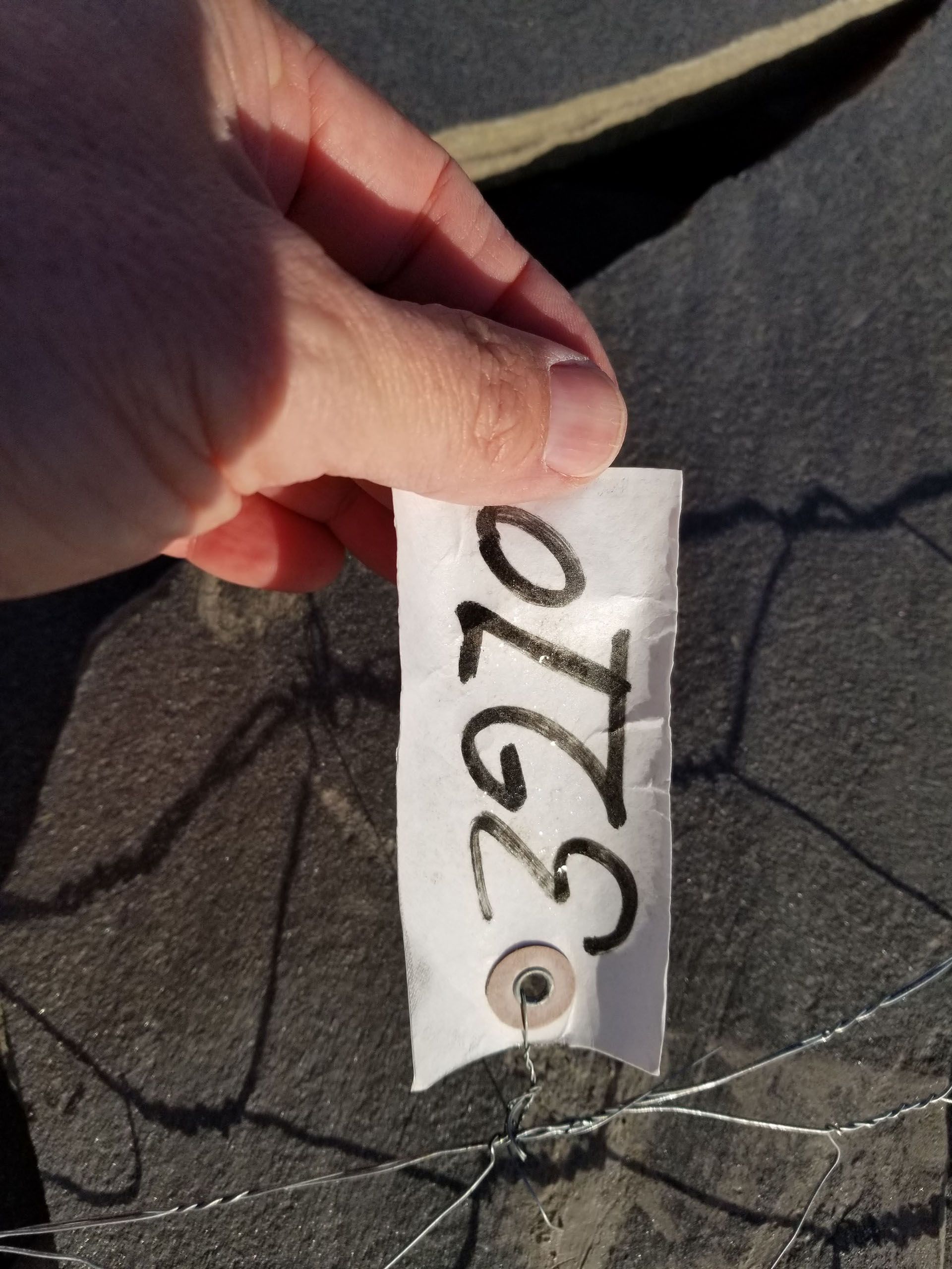 A person is holding a piece of paper with the number 3270 on it