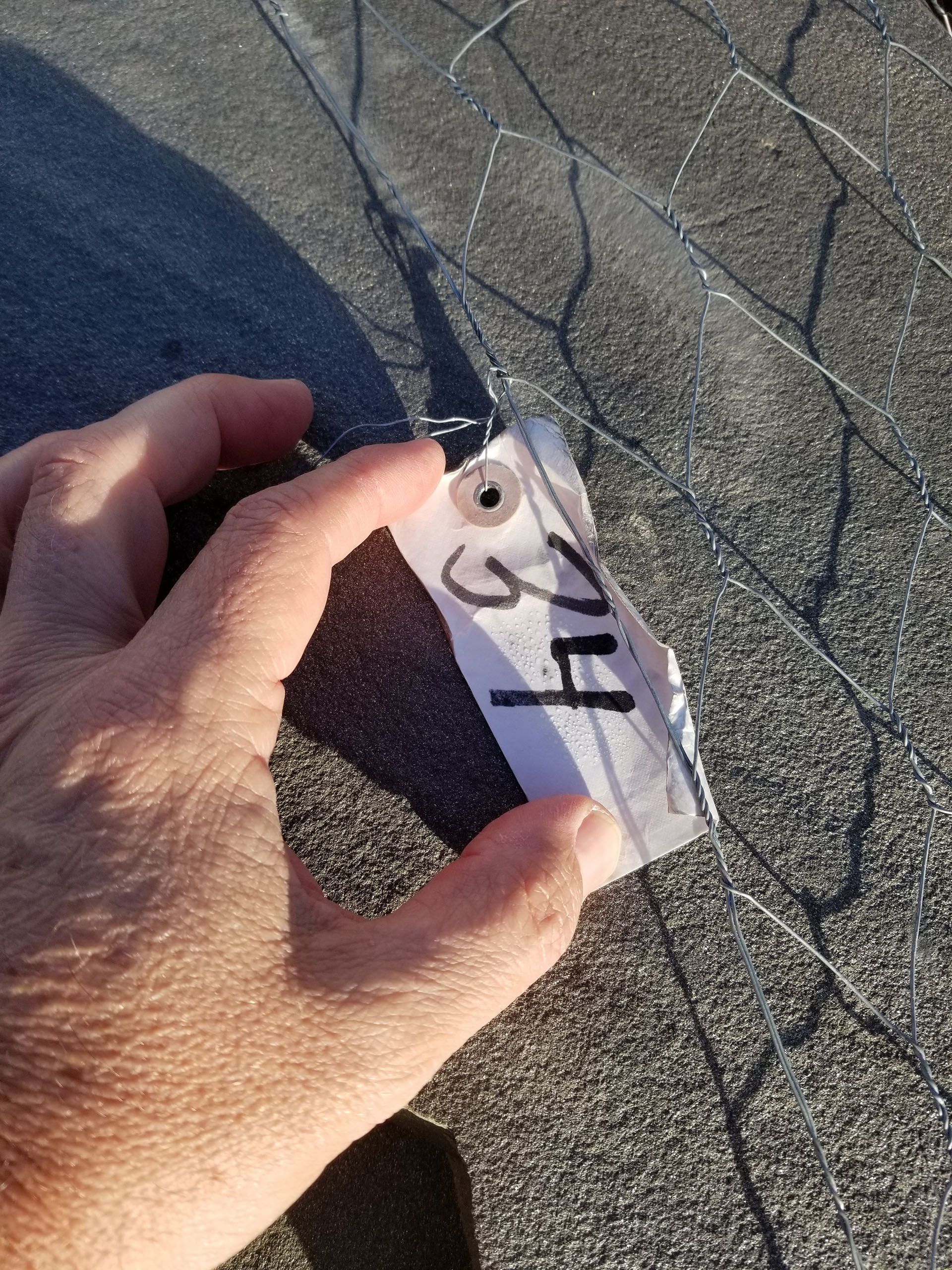 A person is holding a piece of paper with the number 34 on it