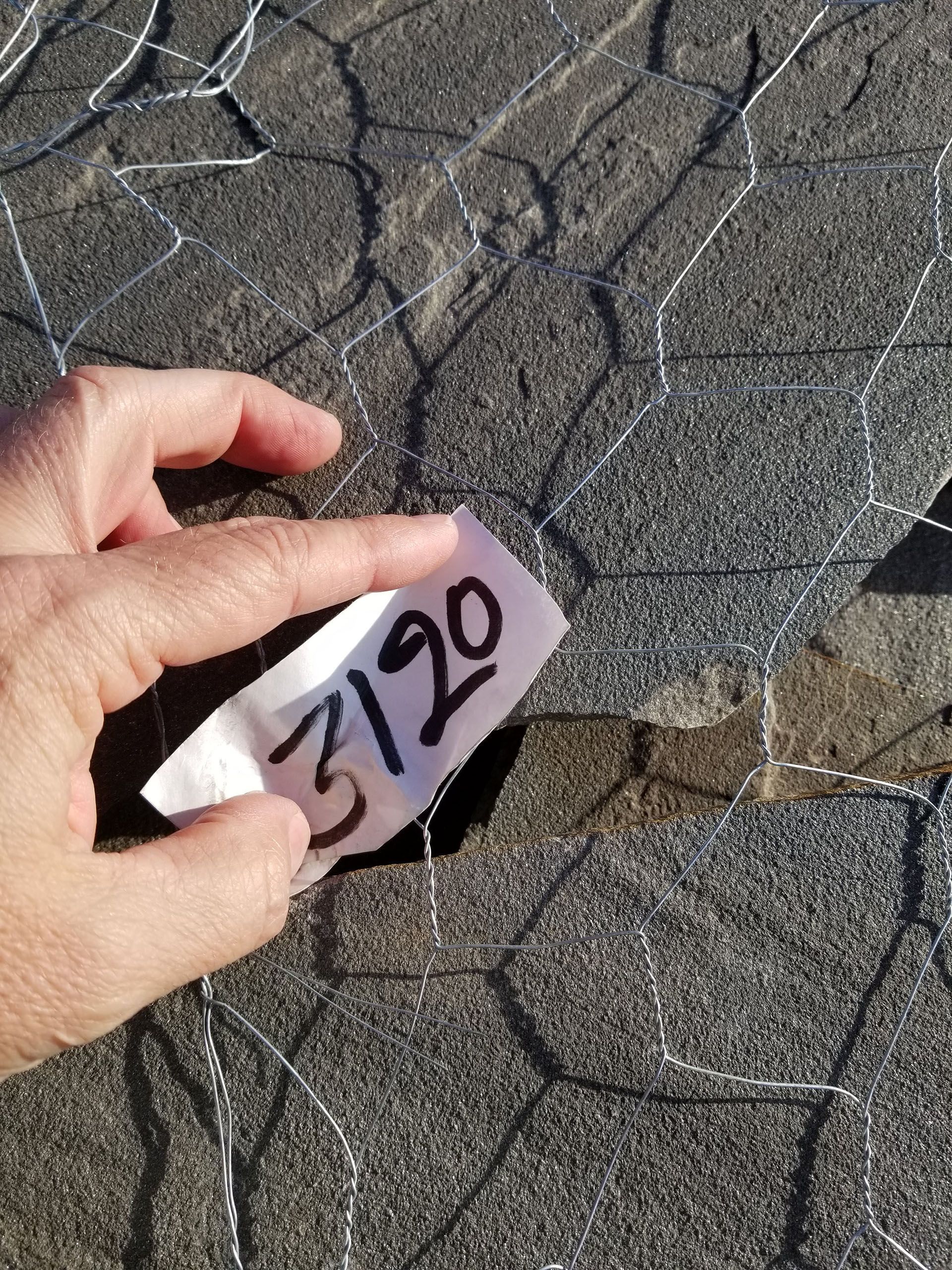 A person is holding a piece of paper with the number 2120 on it.