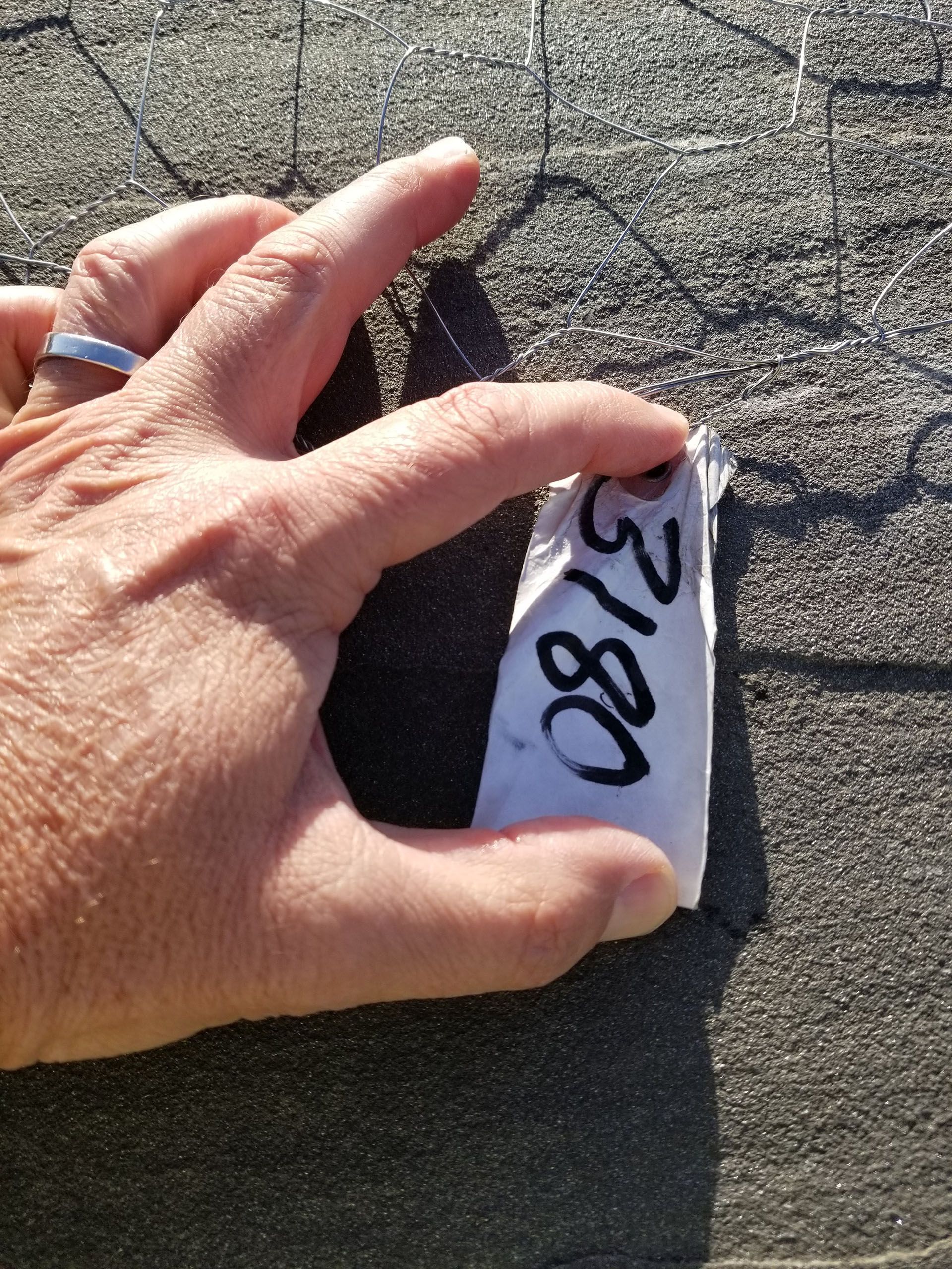 A person is holding a piece of paper with the number 2180 on it