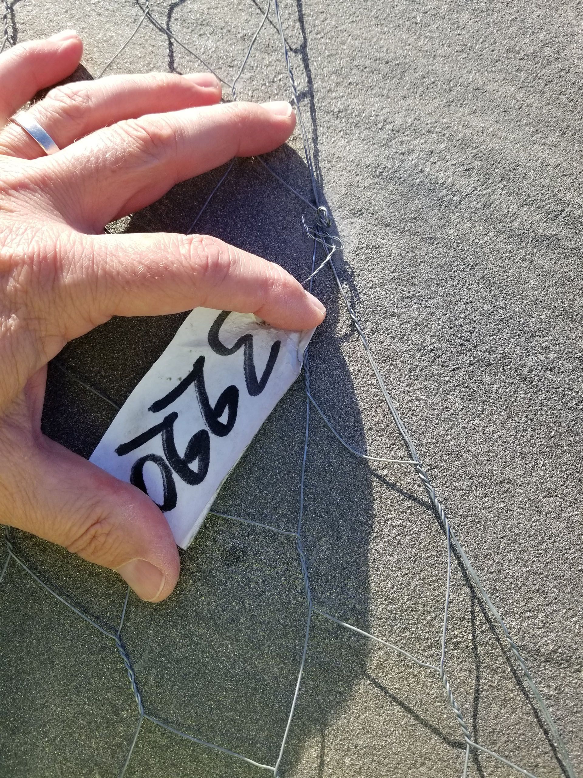 A person is holding a piece of paper with the number 3220 on it