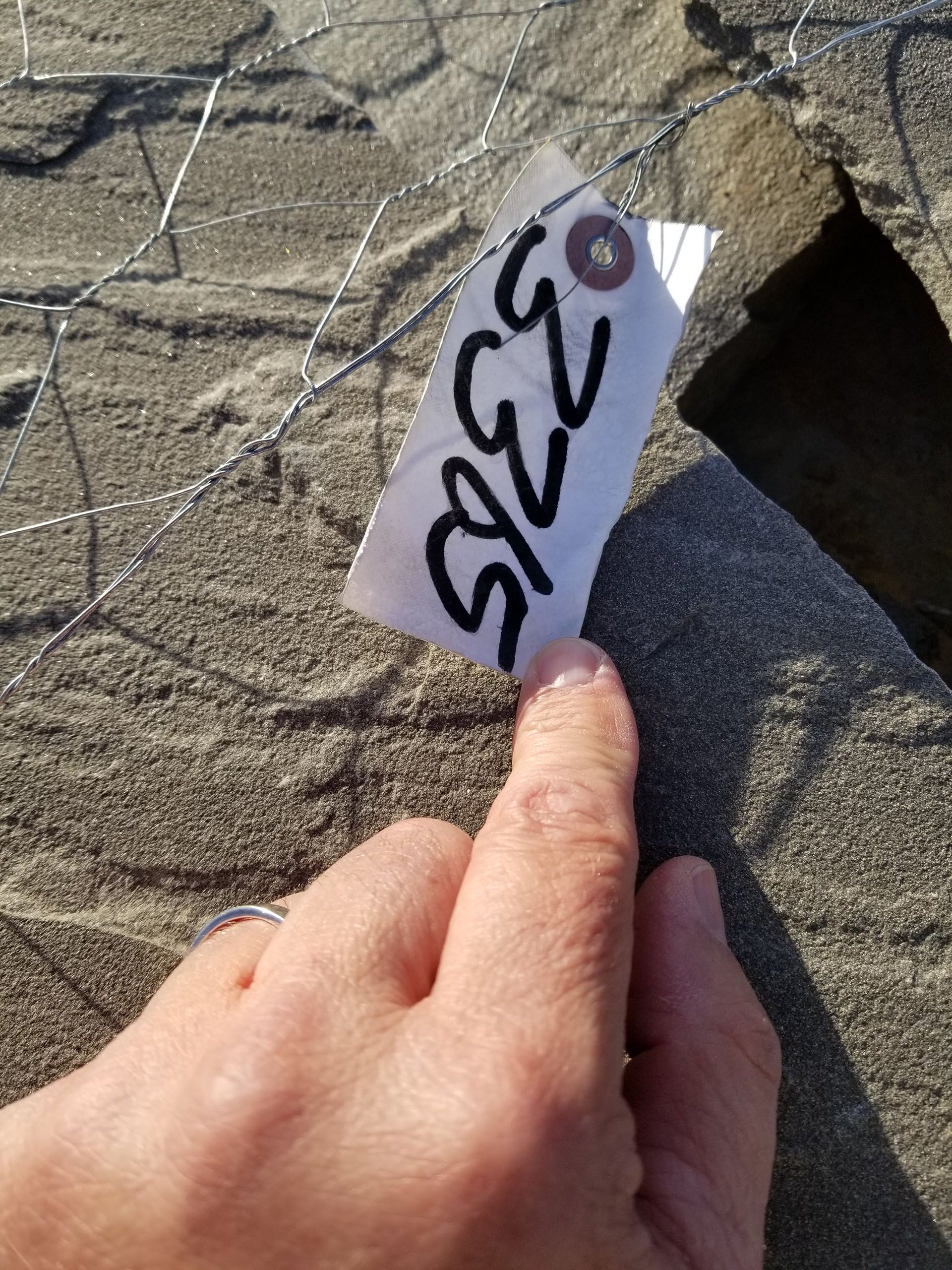 A person is holding a tag with the number 2375 on it