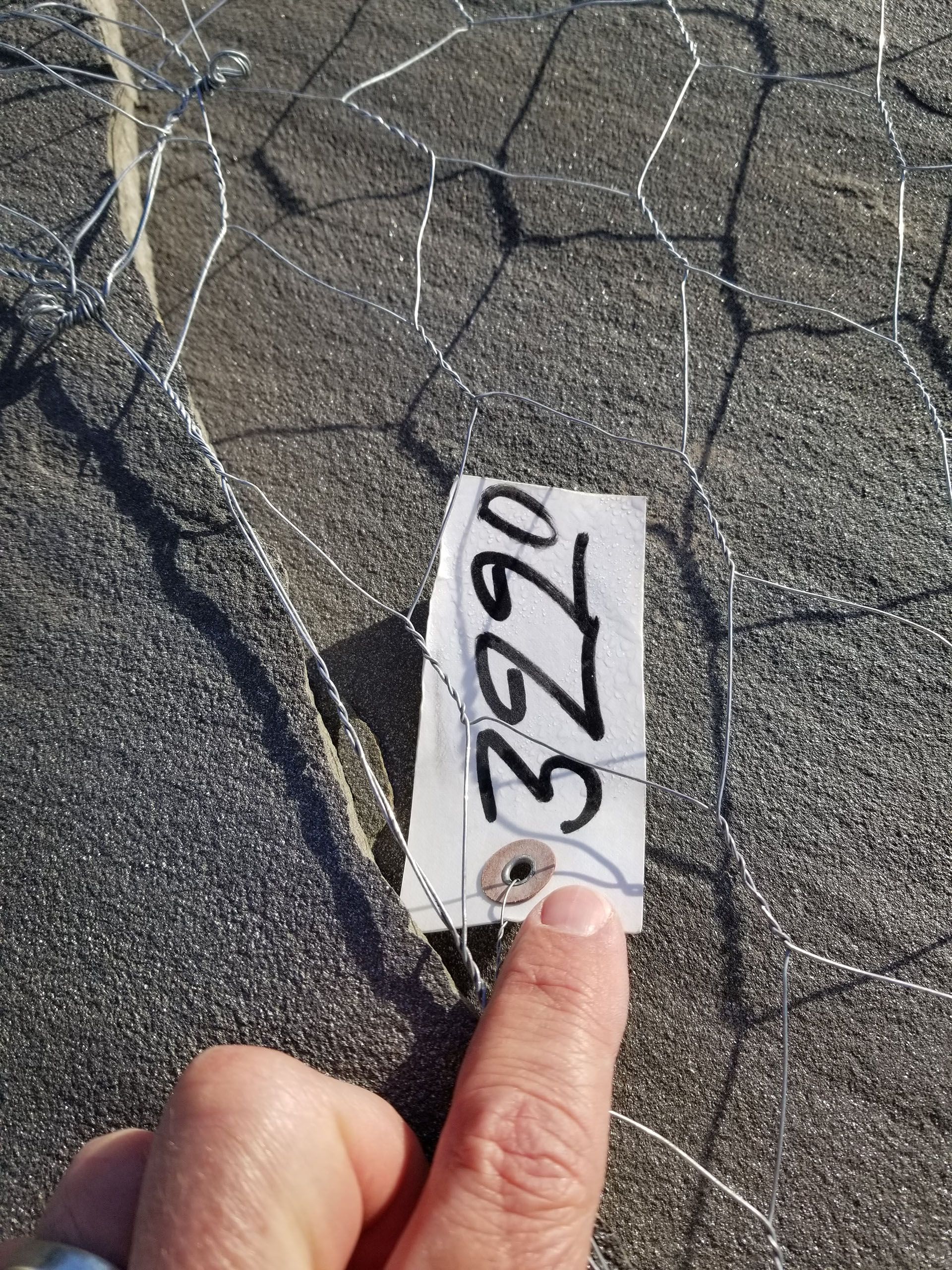 A person is holding a piece of paper with the number 3220 on it