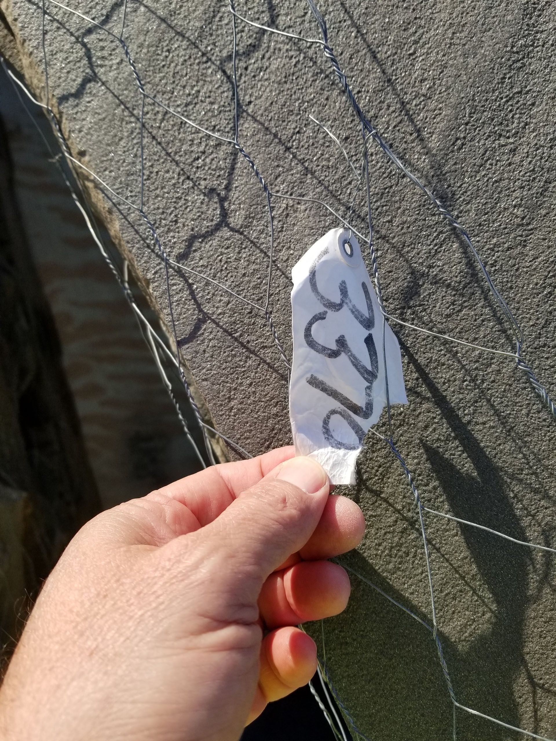 A person is holding a piece of paper with the word alex written on it.