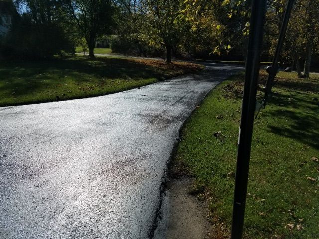Wet winding path through a sunny park with trees and grass