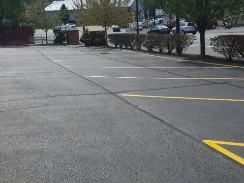 Empty parking lot with yellow lines and hedges along the edge, under overcast skies