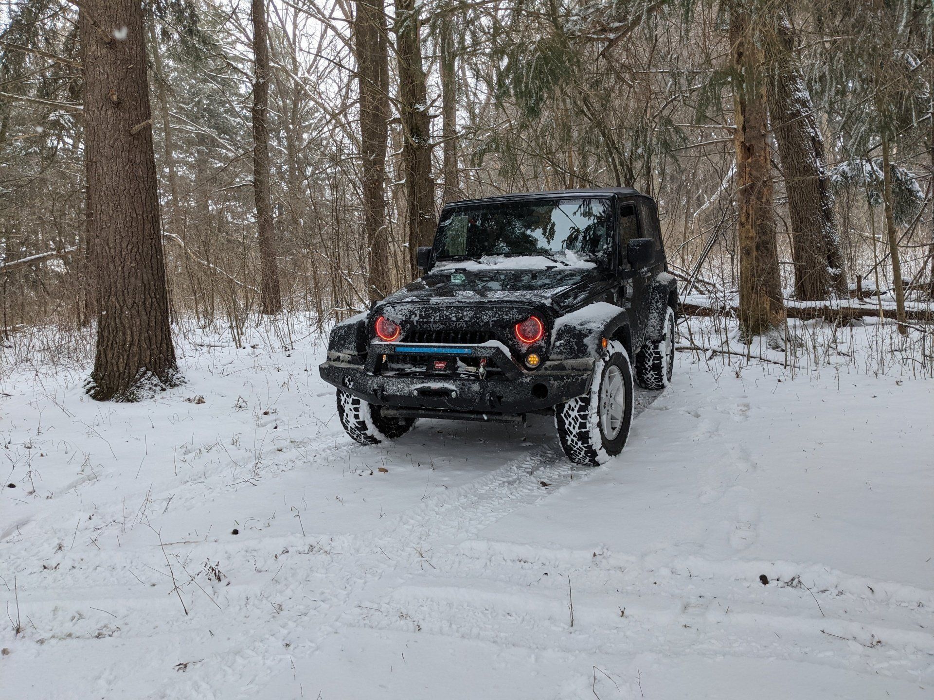 Black Jeep in snowy forest