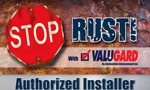 Rust Protection