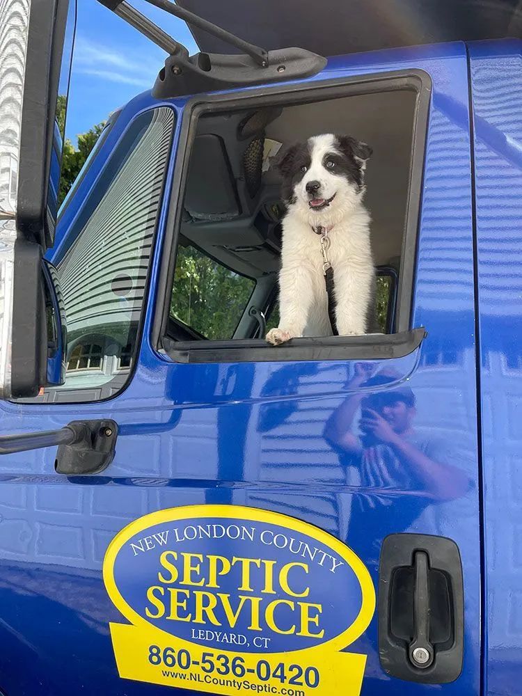 New London County Septic & Excavation Gallery 09