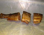 Smoked Chunked Trout