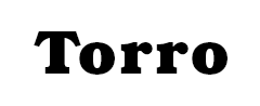 Torro